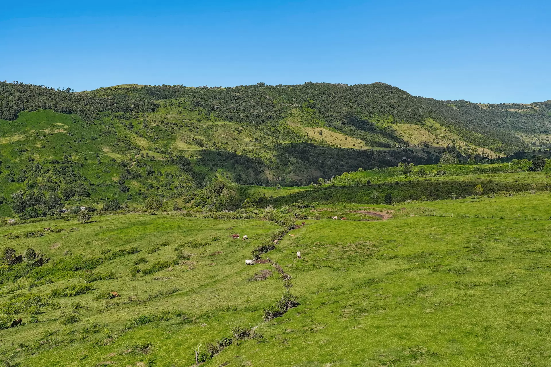 462 Illinbah Road, Illinbah Sold by Queensland Sotheby's International Realty - image 1