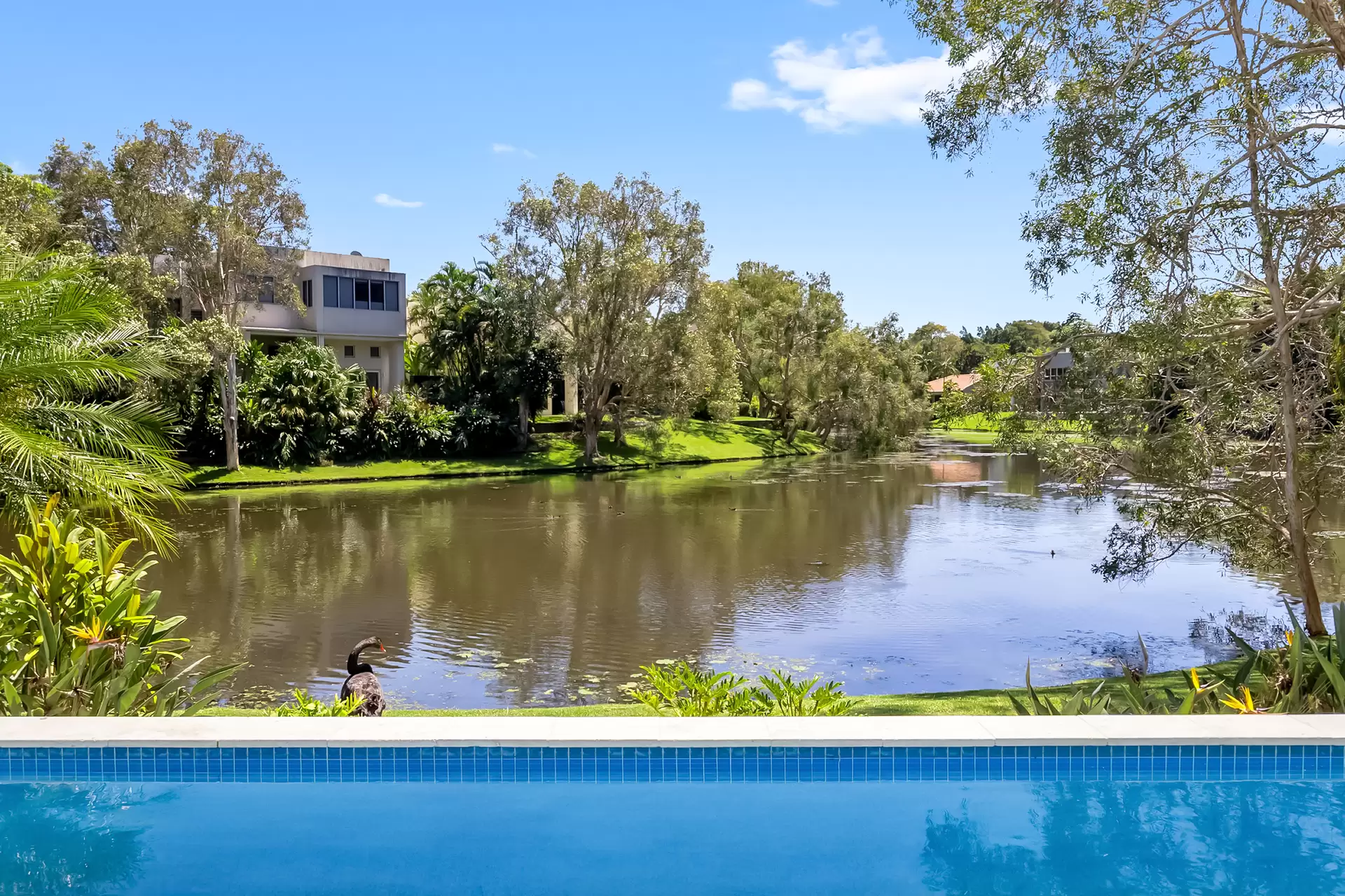 8/87 Toolga Street, Mount Coolum For Sale by Queensland Sotheby's International Realty - image 1