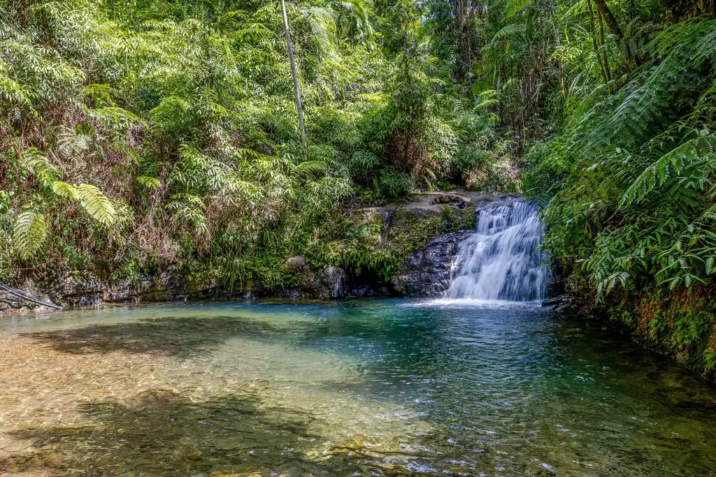 58 Maple Road, Cow Bay For Sale by Queensland Sotheby's International Realty