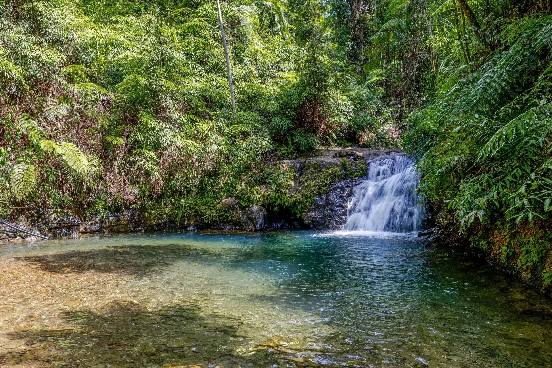 58 Maple Road, Cow Bay For Sale by Queensland Sotheby's International Realty - image 1