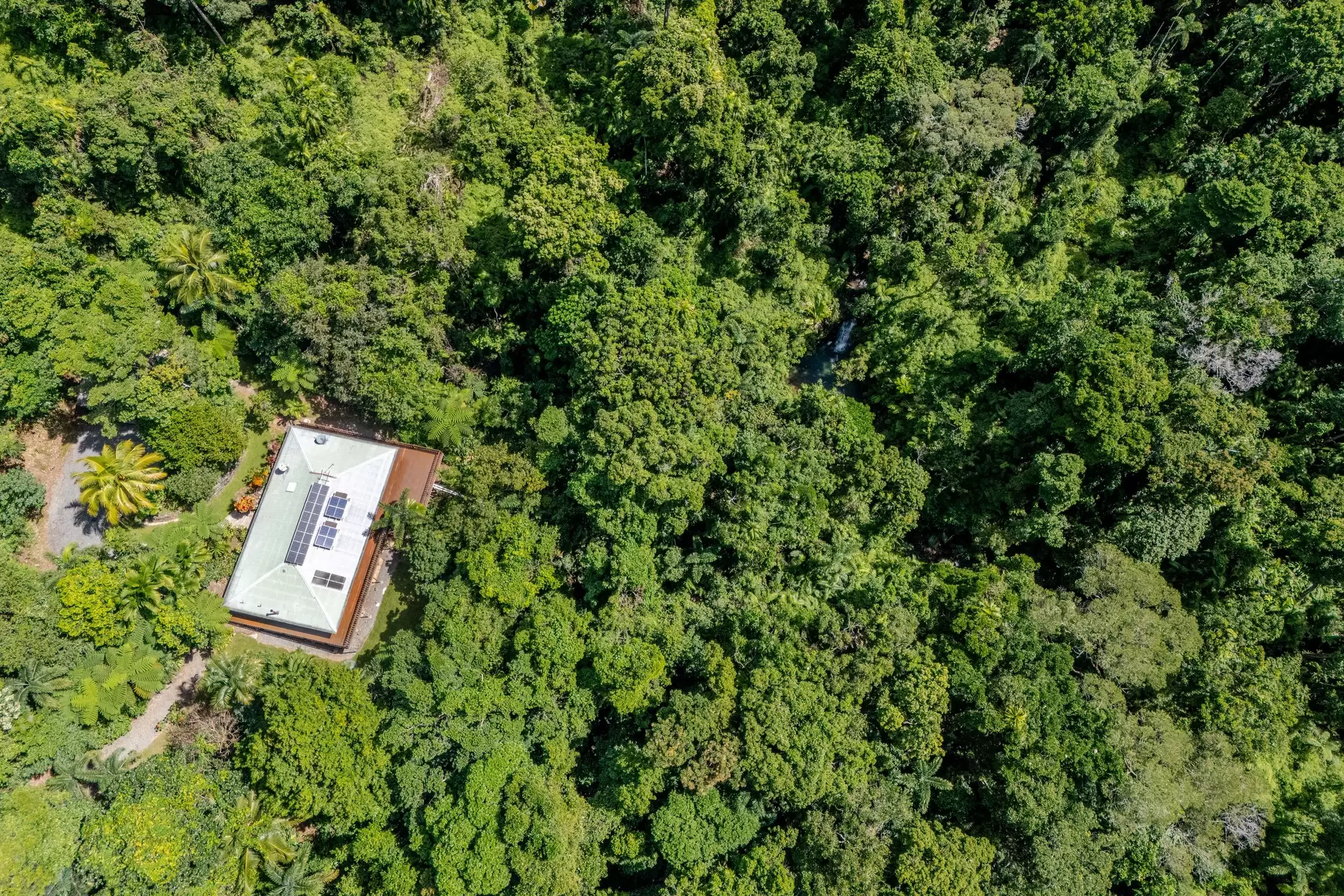 58 Maple Road, Daintree For Sale by Queensland Sotheby's International Realty - image 1
