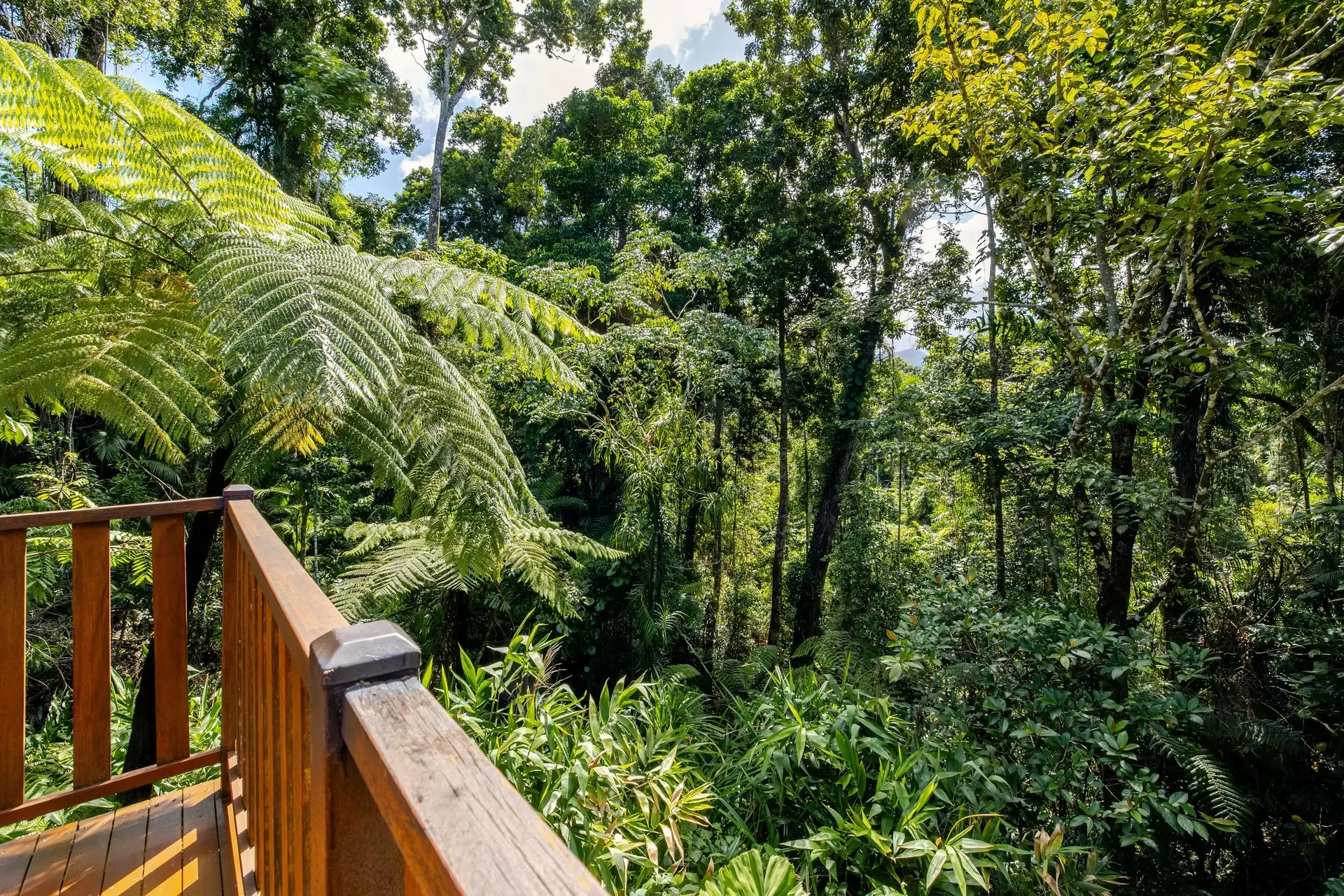 58 Maple Road, Daintree For Sale by Queensland Sotheby's International Realty - image 1