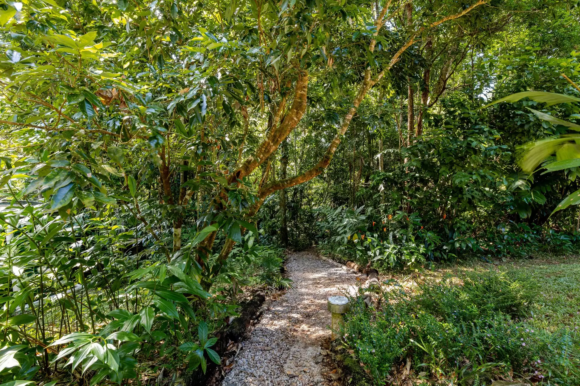 58 Maple Road, Daintree For Sale by Queensland Sotheby's International Realty - image 1