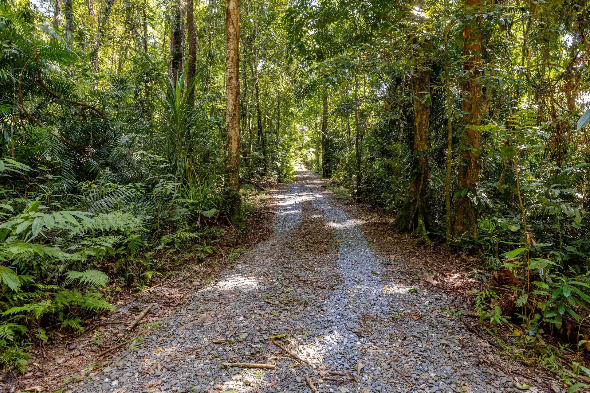 58 Maple Road, Daintree For Sale by Queensland Sotheby's International Realty - image 1