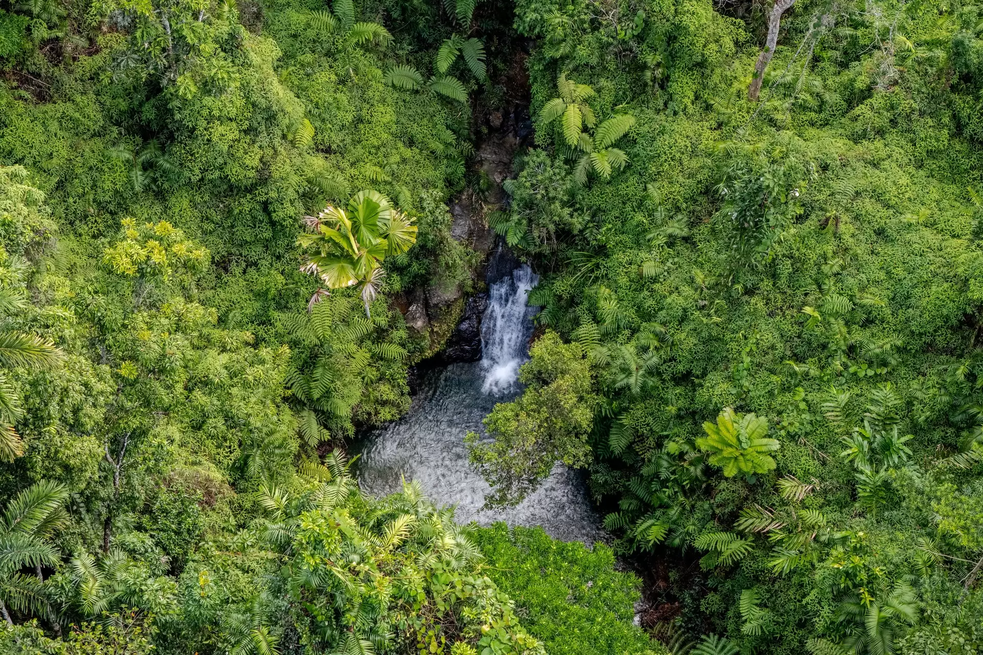 58 Maple Road, Daintree For Sale by Queensland Sotheby's International Realty - image 1