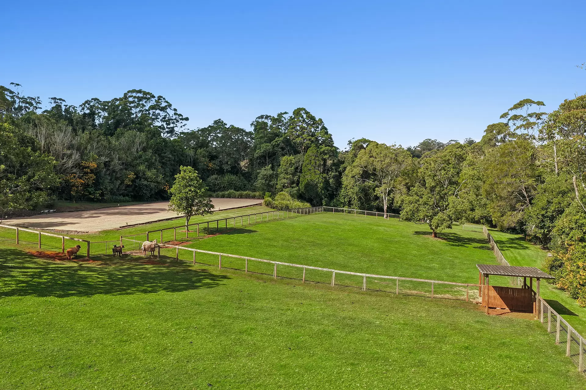 23-25 Kootenai Drive, Tamborine Mountain For Sale by Queensland Sotheby's International Realty - image 1
