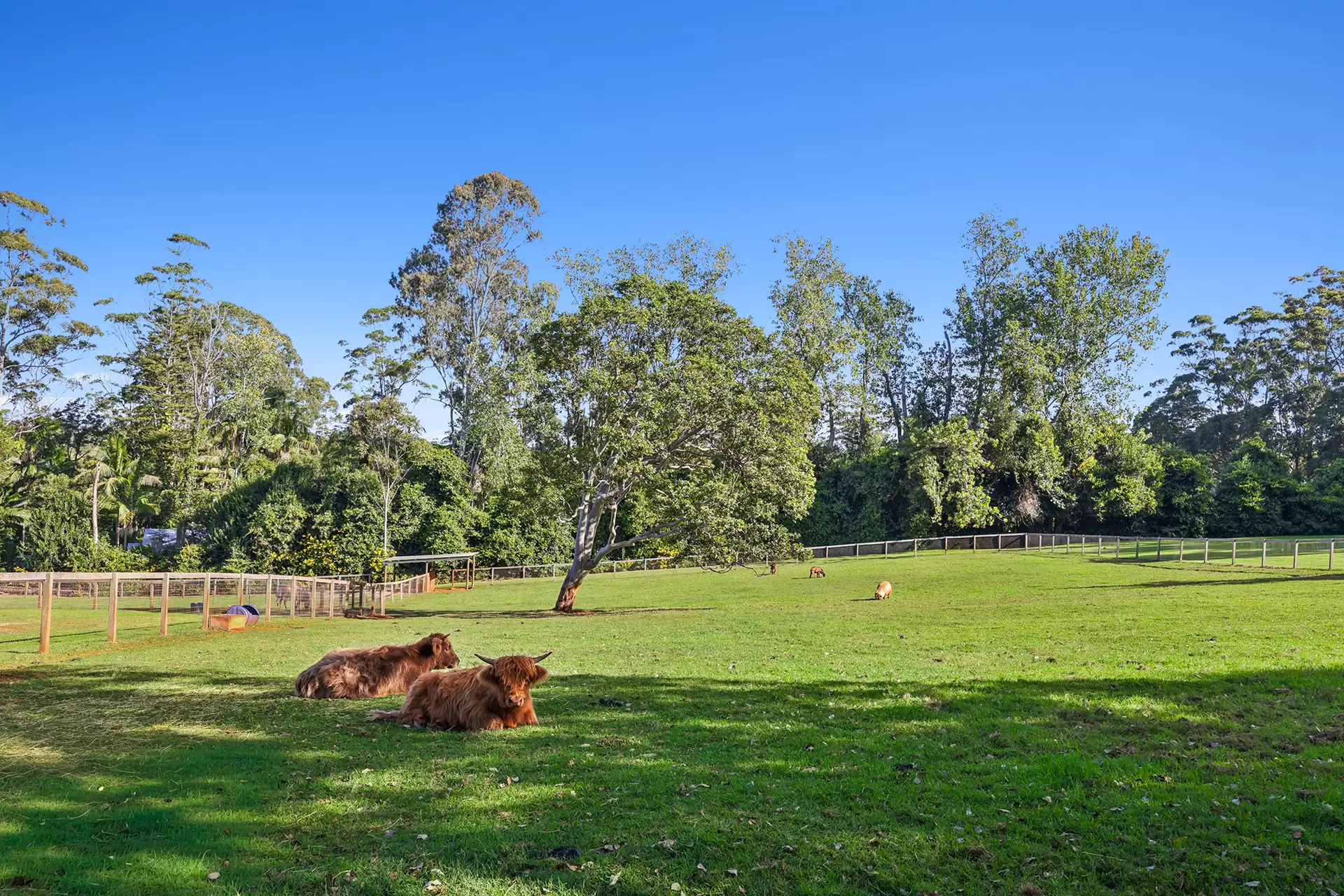 23-25 Kootenai Drive, Tamborine Mountain For Sale by Queensland Sotheby's International Realty - image 1