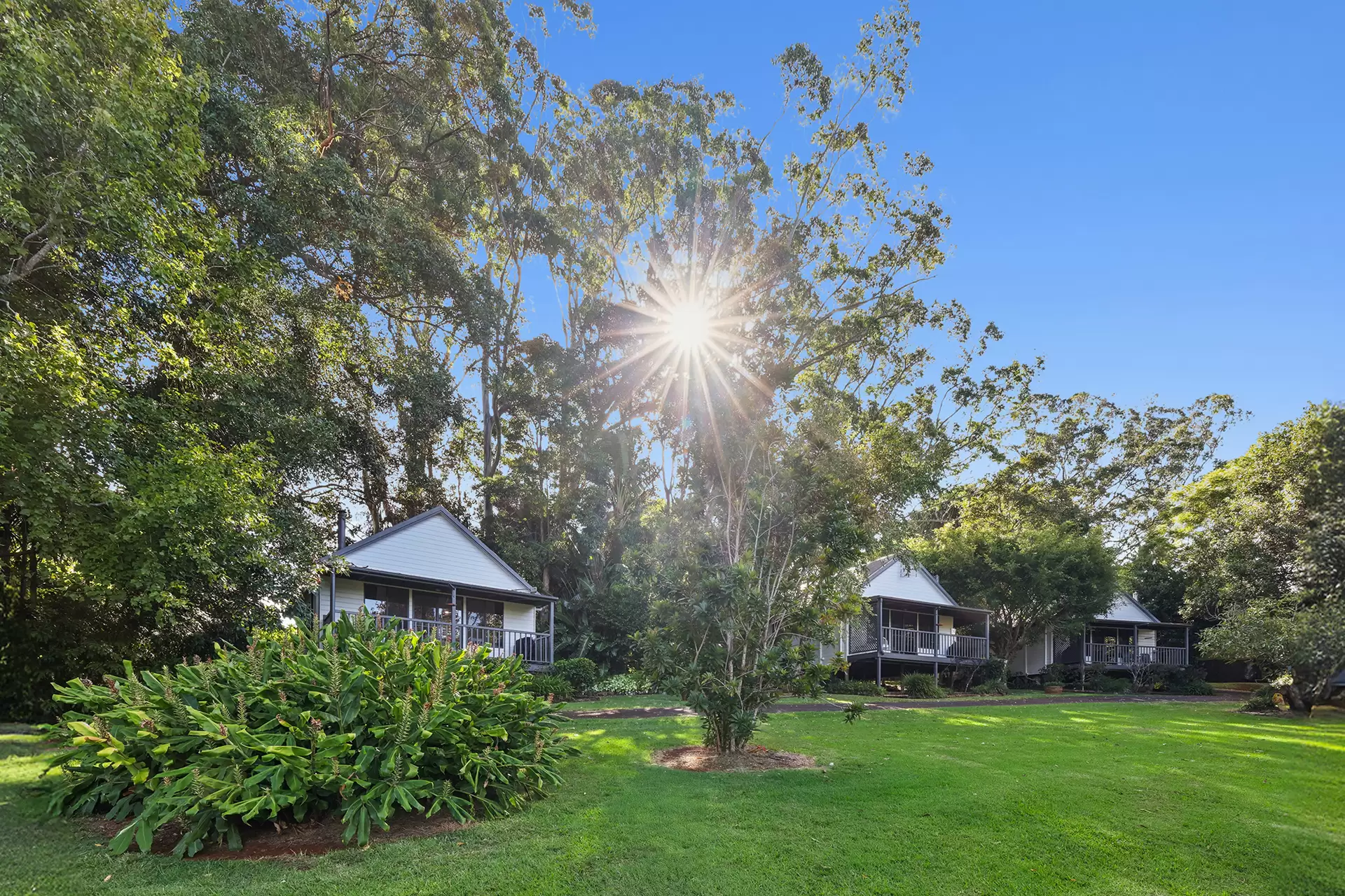 23-25 Kootenai Drive, Tamborine Mountain For Sale by Queensland Sotheby's International Realty - image 1