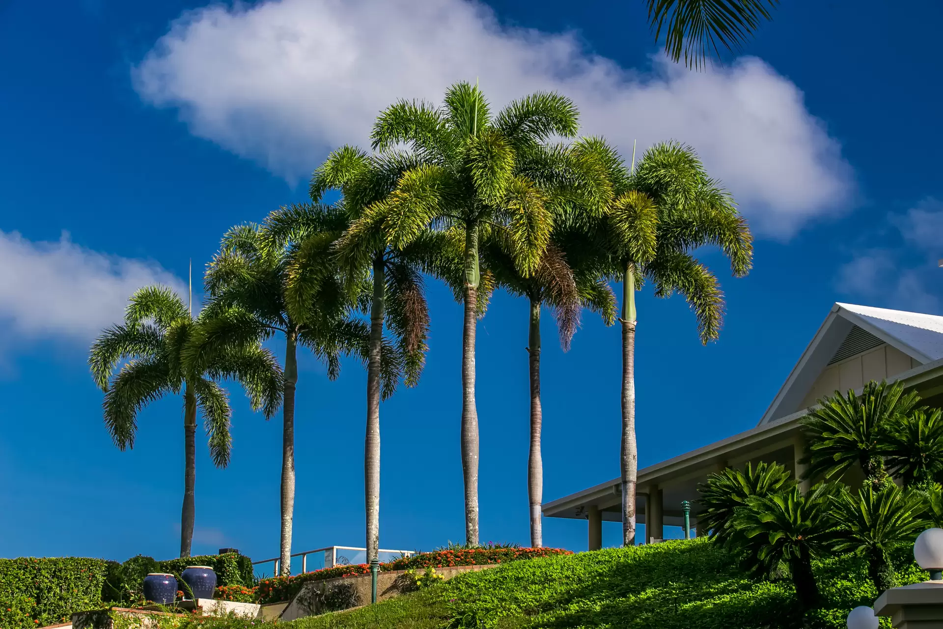 10 - 12 Hibiscus Court, Rocky Point For Sale by Queensland Sotheby's International Realty - image 1