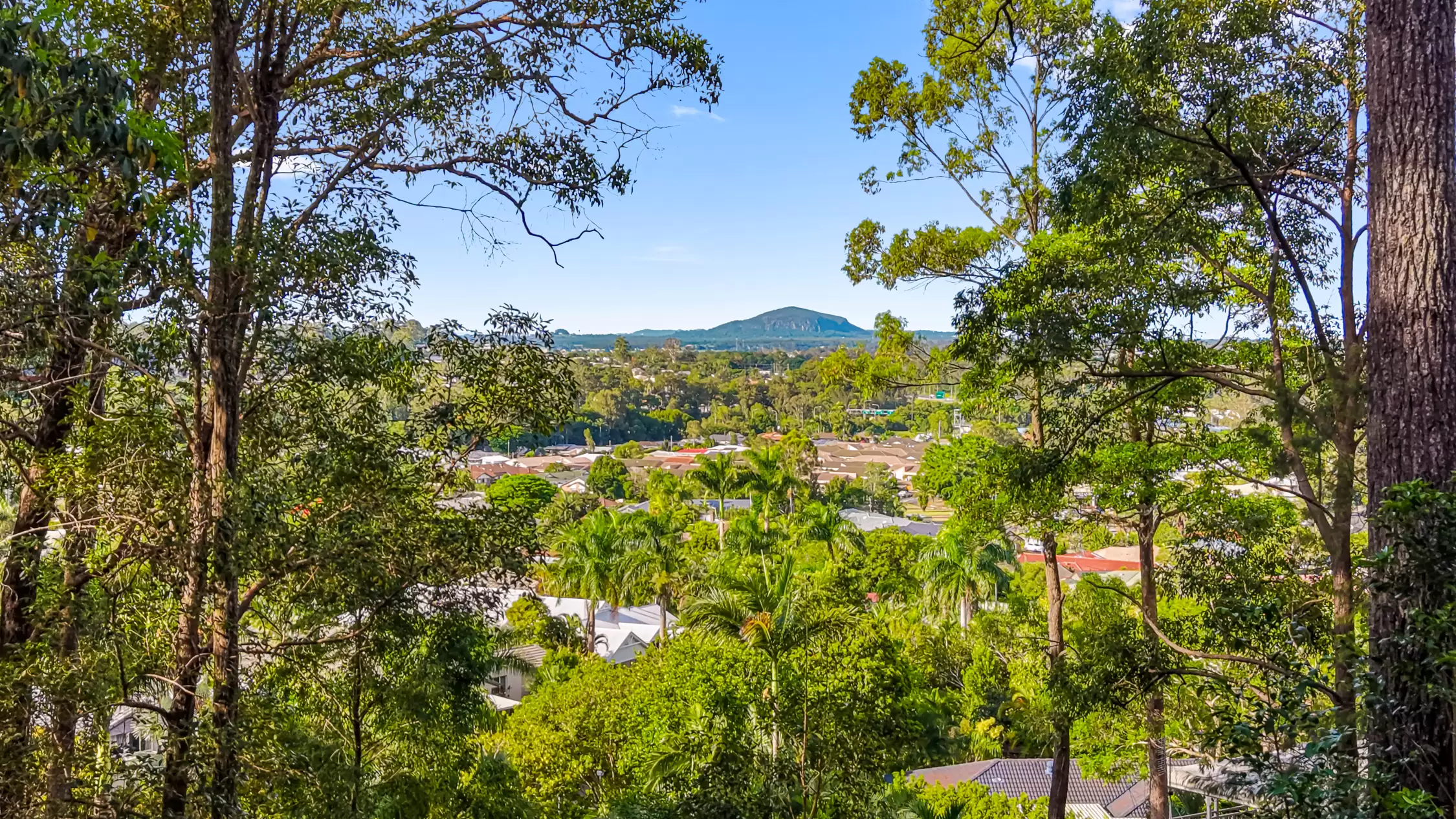 9-11 Dunbar Court, Buderim Sold by Queensland Sotheby's International Realty - image 1