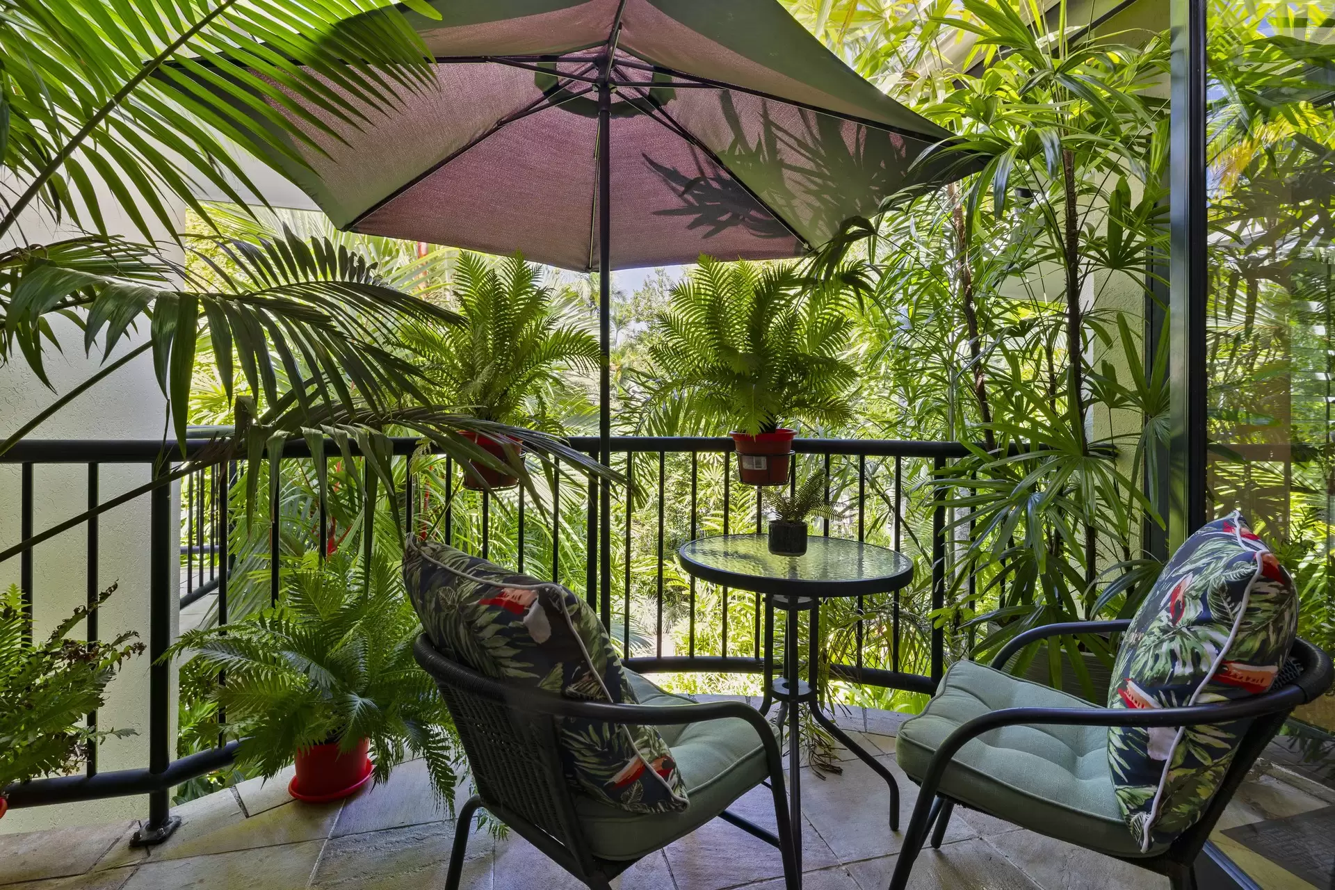 2/18-28 St Crispins  Avenue, Port Douglas For Sale by Queensland Sotheby's International Realty - image 1