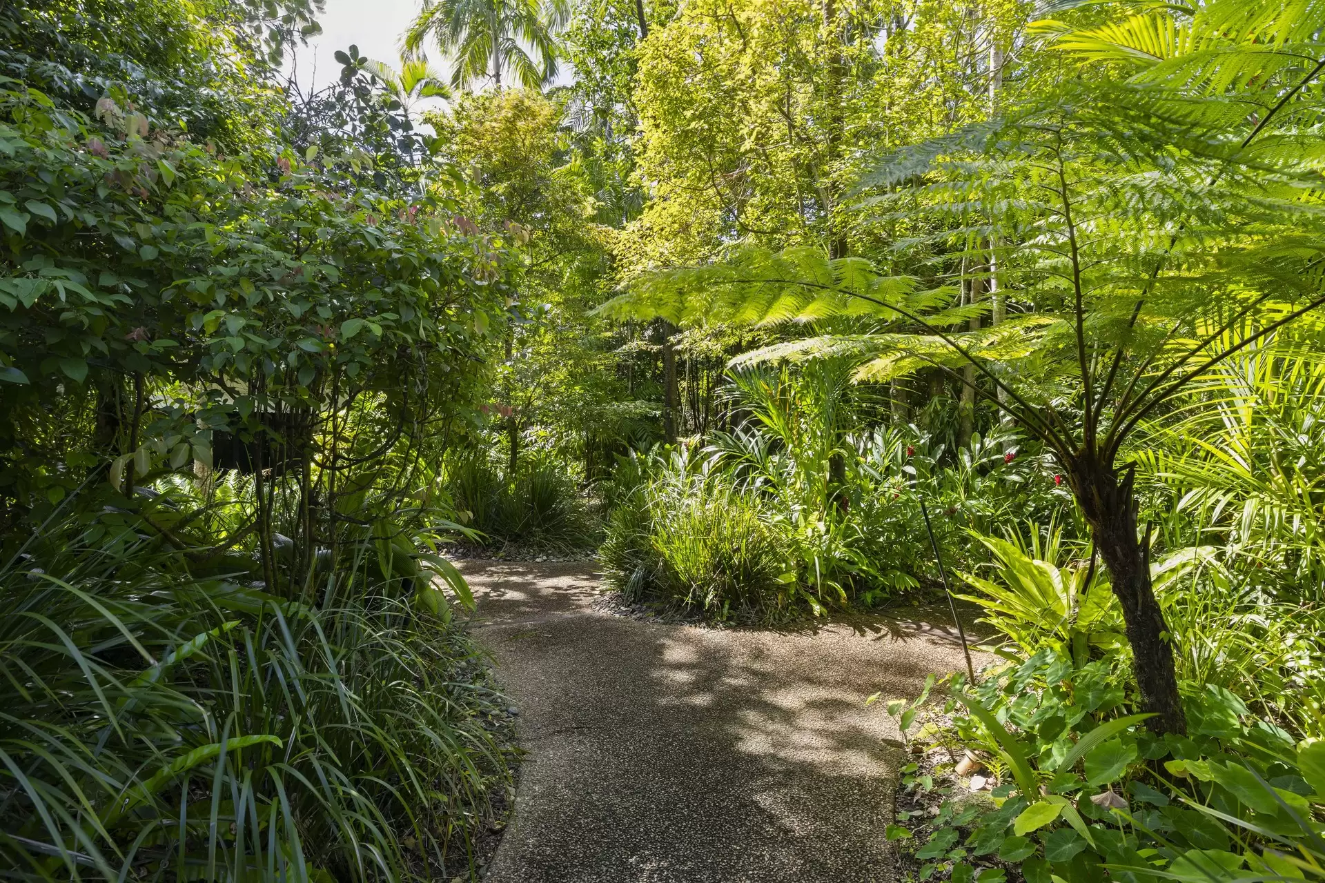 2/18-28 St Crispins  Avenue, Port Douglas Sold by Queensland Sotheby's International Realty - image 1