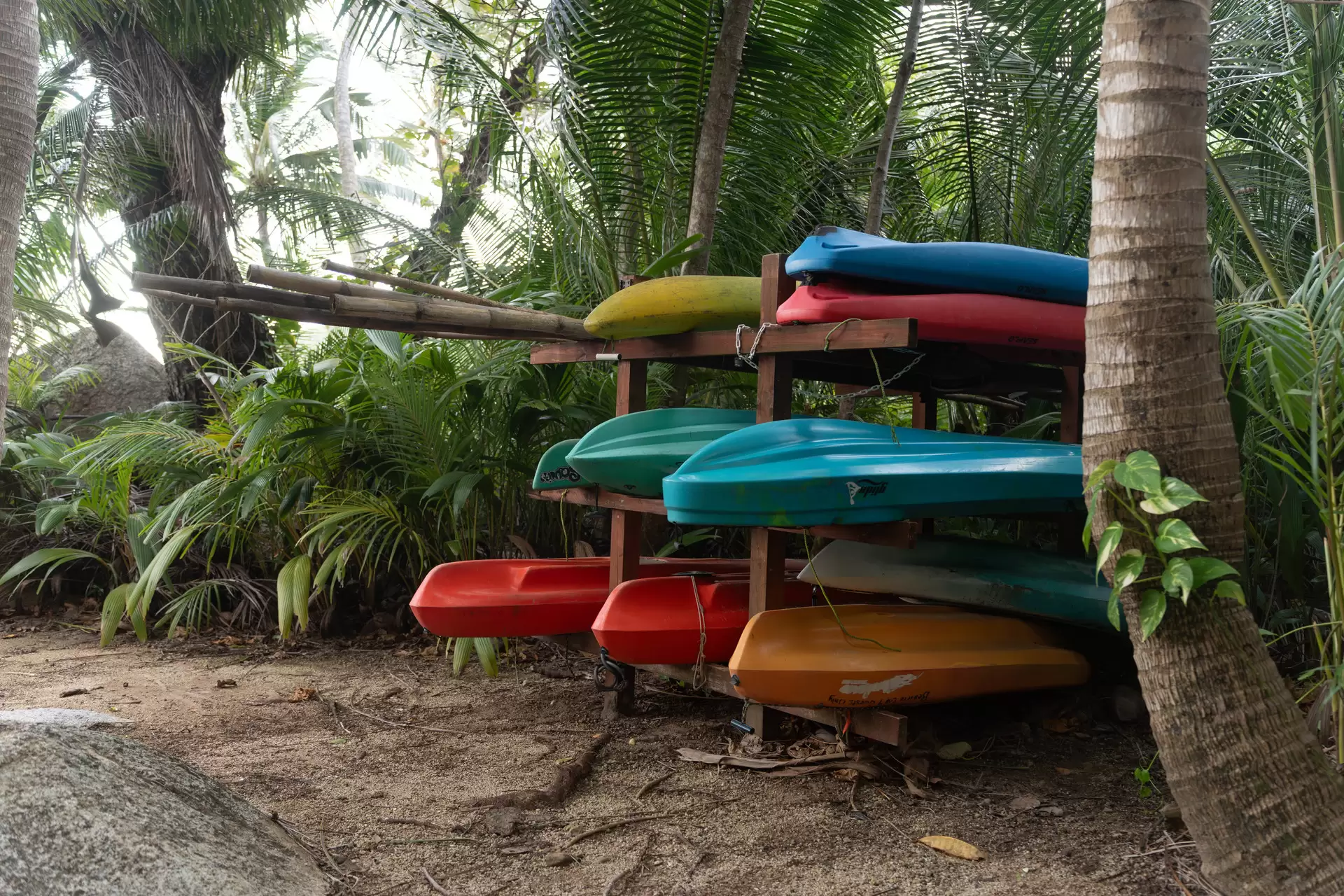 Lot 10 Bedarra Island, Dunk For Sale by Queensland Sotheby's International Realty - image 1