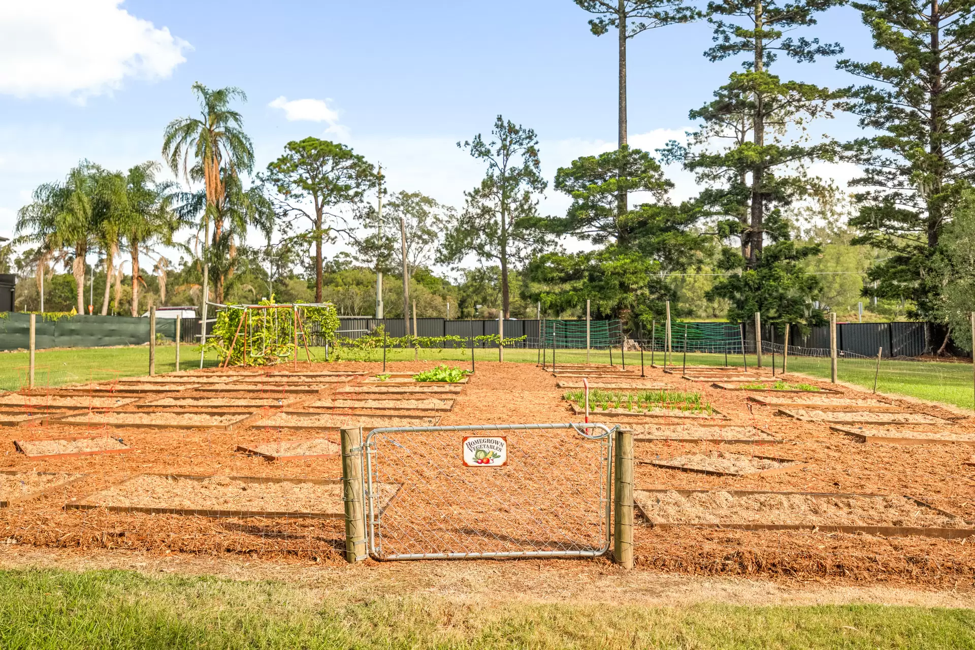 33 Boston Road, Belmont For Sale by Queensland Sotheby's International Realty - image 1