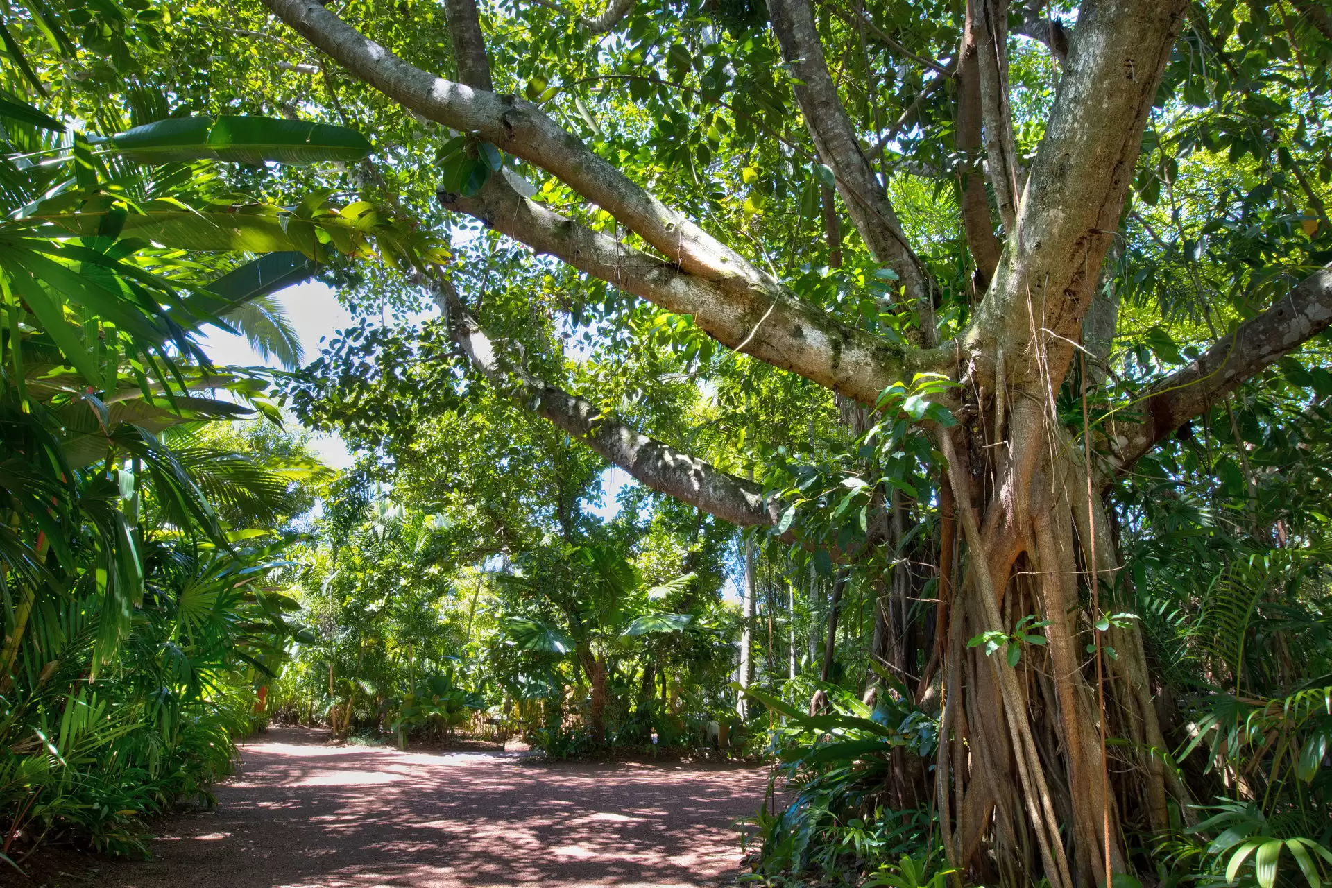 26 Pacific Parade, Mission Beach For Sale by Queensland Sotheby's International Realty - image 1