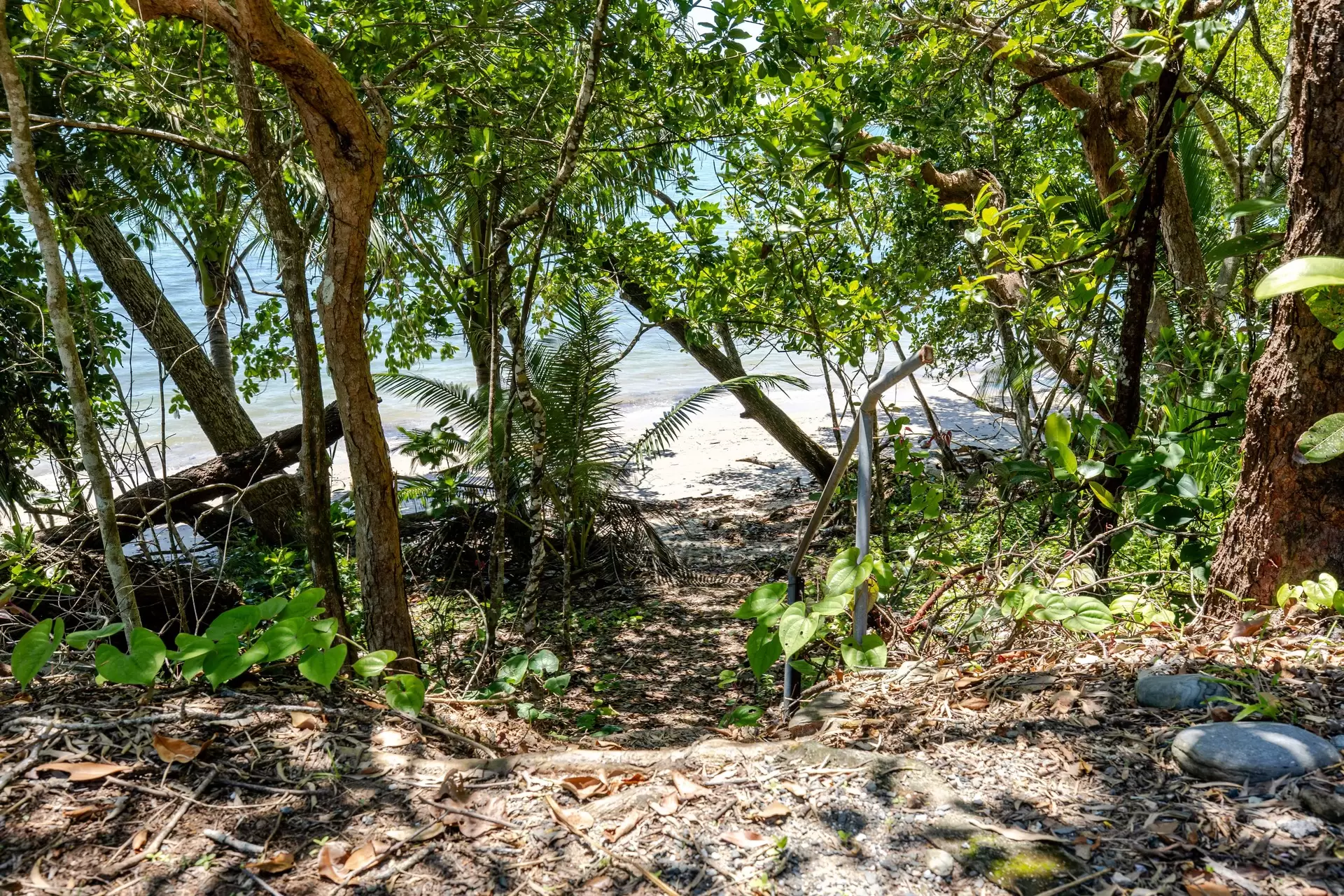1385 Mossman Daintree  Road, Rocky Point For Sale by Queensland Sotheby's International Realty - image 1