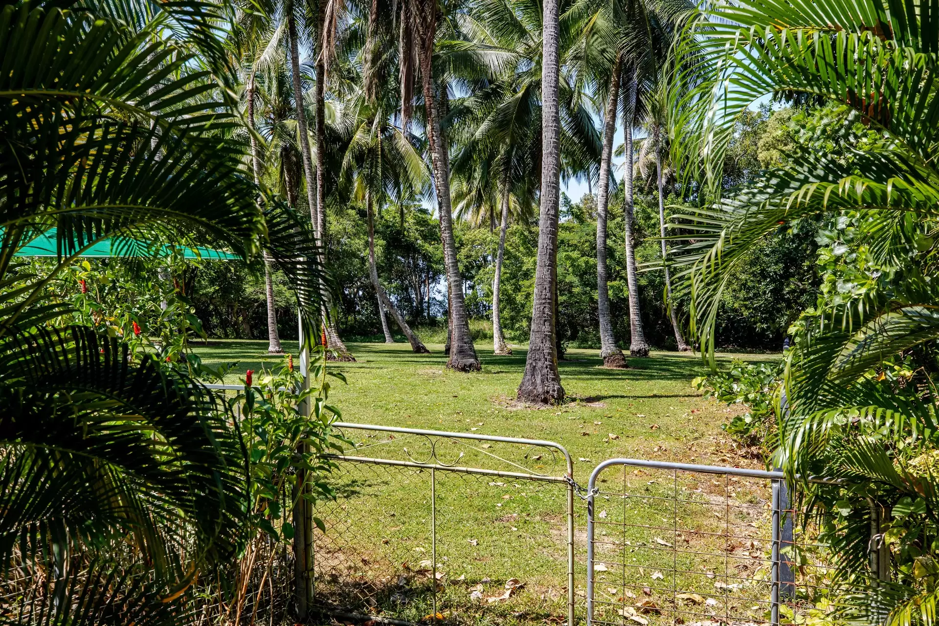 3 Marlin Drive, Wonga Beach For Sale by Queensland Sotheby's International Realty - image 1