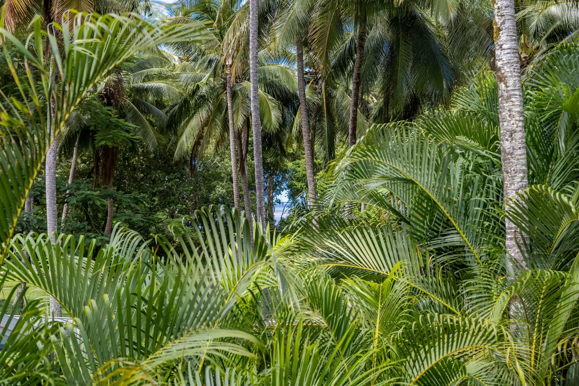 3 Marlin Drive, Wonga Beach For Sale by Queensland Sotheby's International Realty - image 1