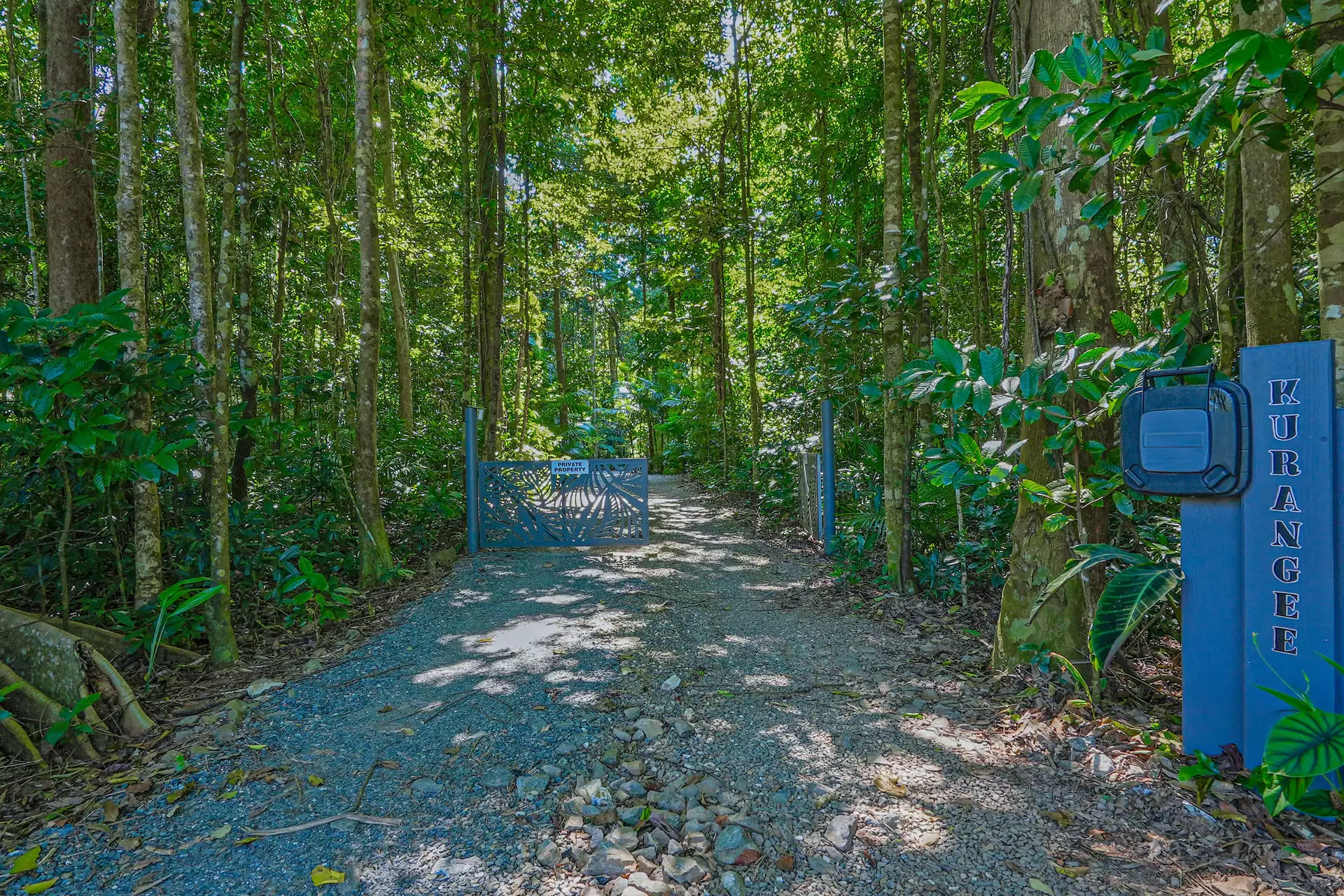151 Buchanan Creek Road, Cow Bay For Sale by Queensland Sotheby's International Realty - image 1
