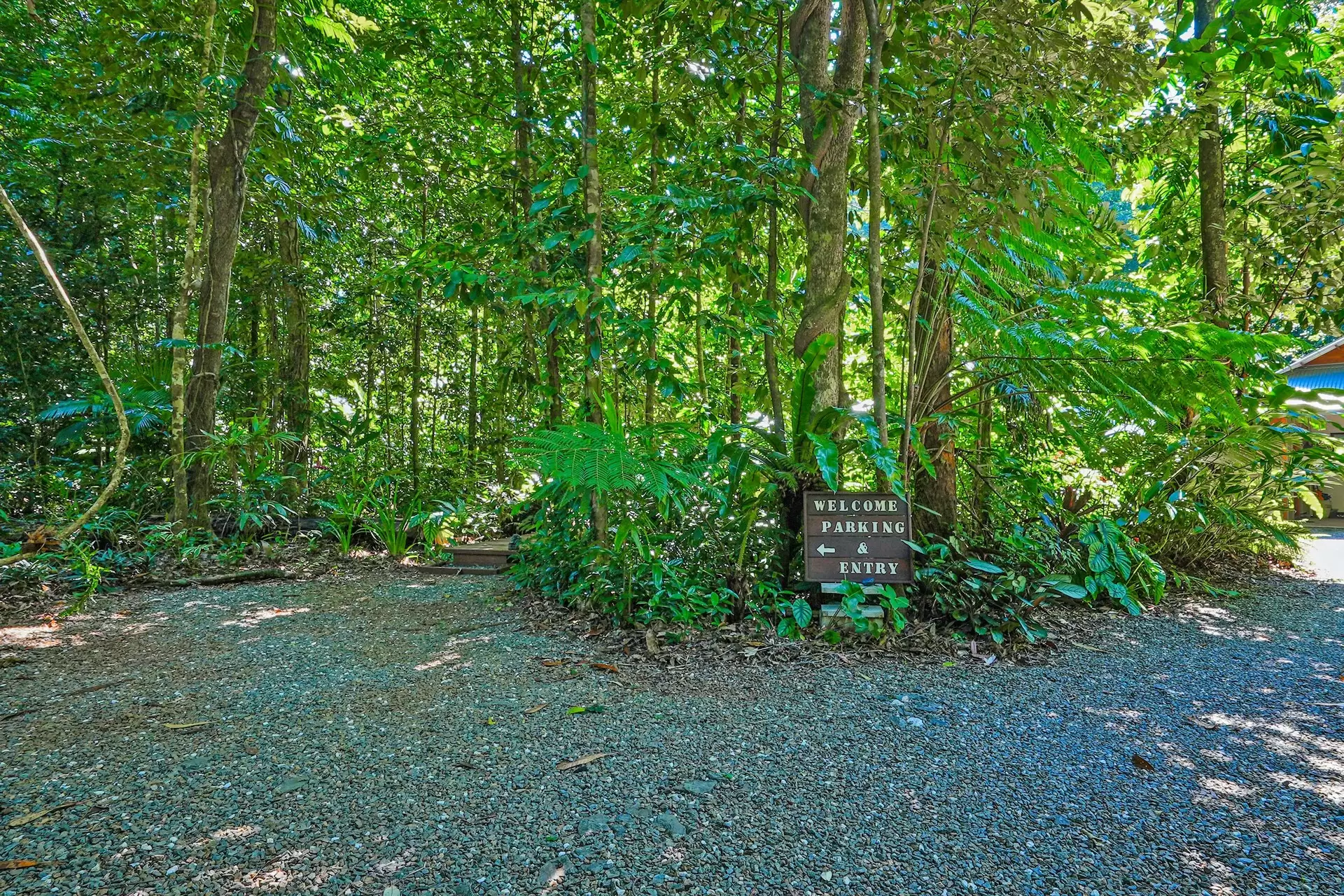 151 Buchanan Creek Road, Cow Bay For Sale by Queensland Sotheby's International Realty - image 1