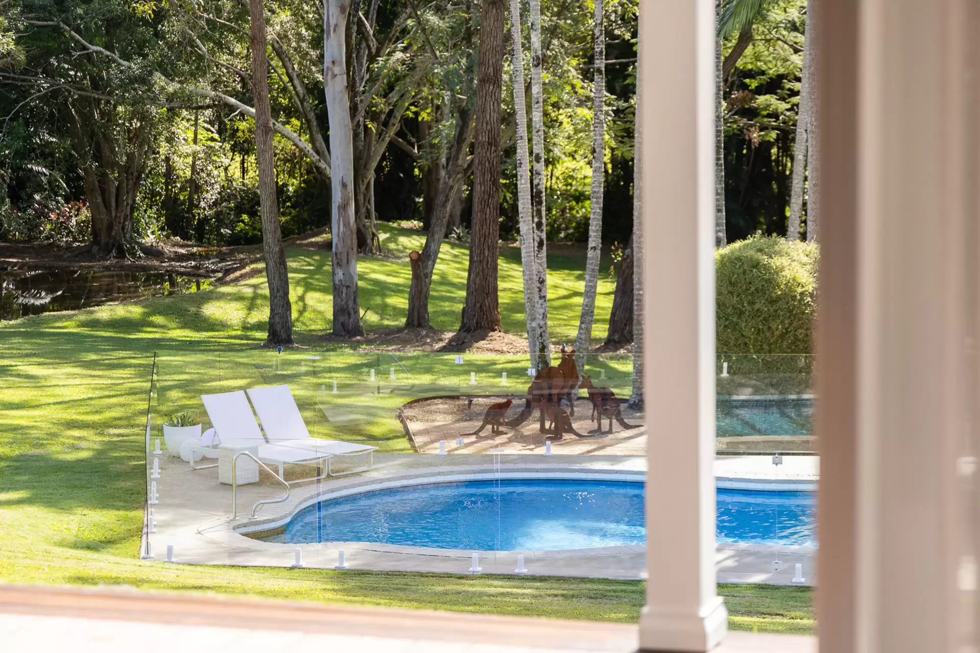 128 Valley Drive, Doonan For Sale by  - image 1