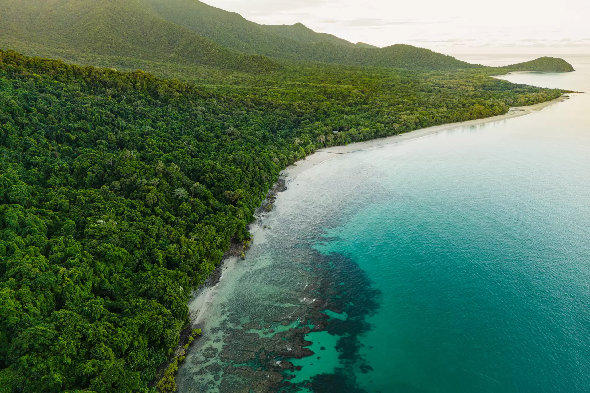 94 Nicole Drive, Cape Tribulation For Sale by Queensland Sotheby's International Realty - image 1