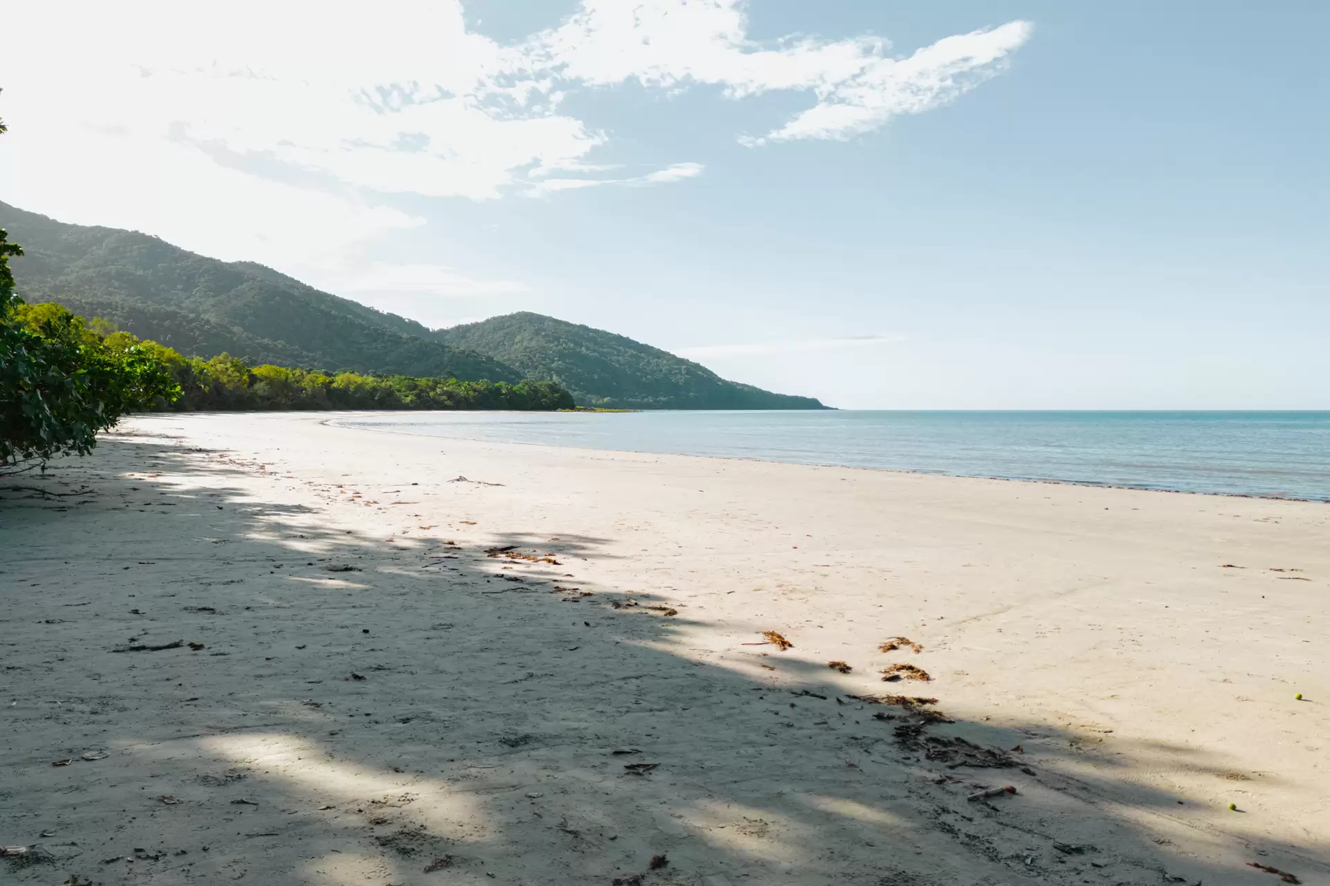 94 Nicole Drive, Cape Tribulation For Sale by Queensland Sotheby's International Realty - image 1