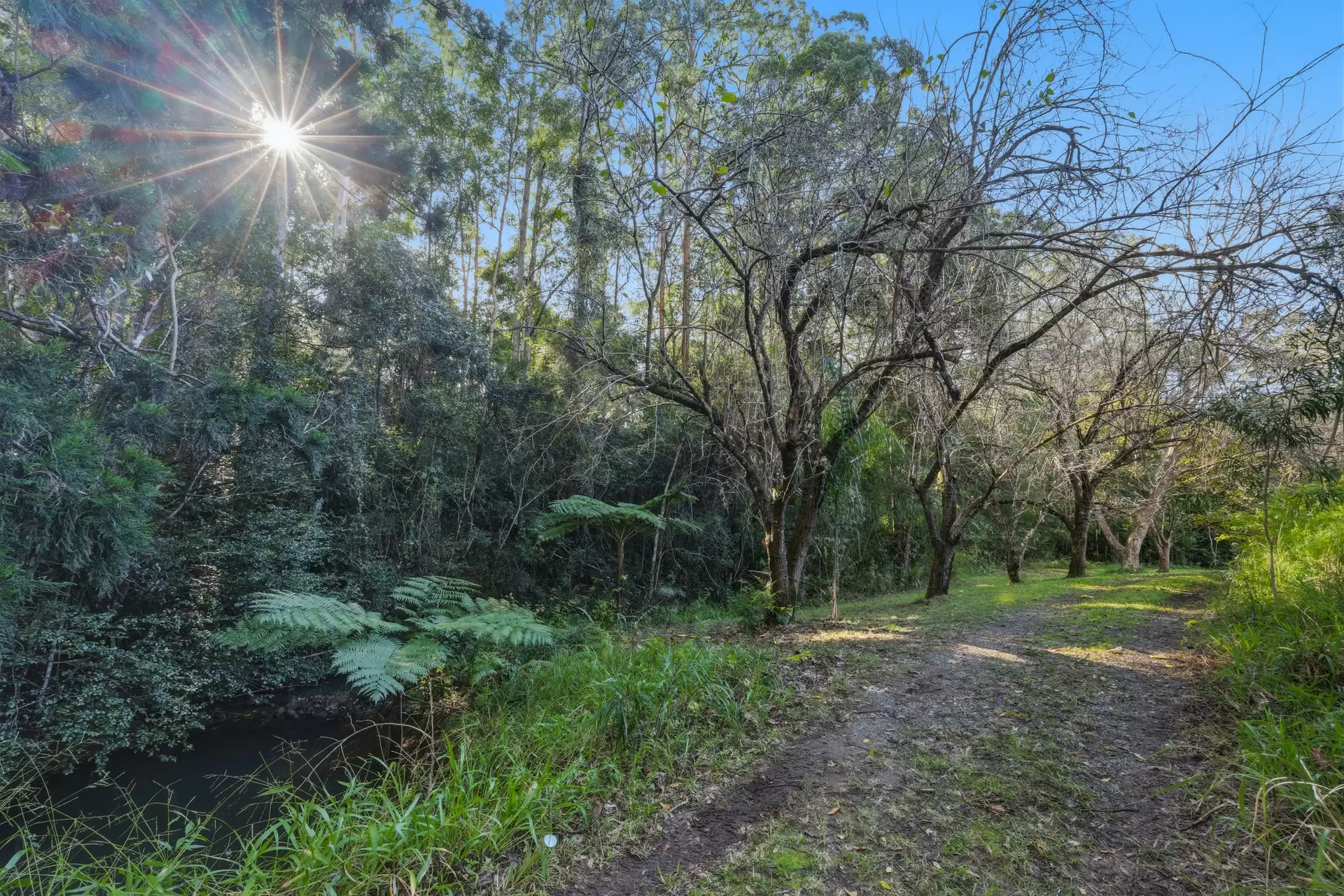 2-26 Shay Place, Witheren For Sale by Queensland Sotheby's International Realty - image 1