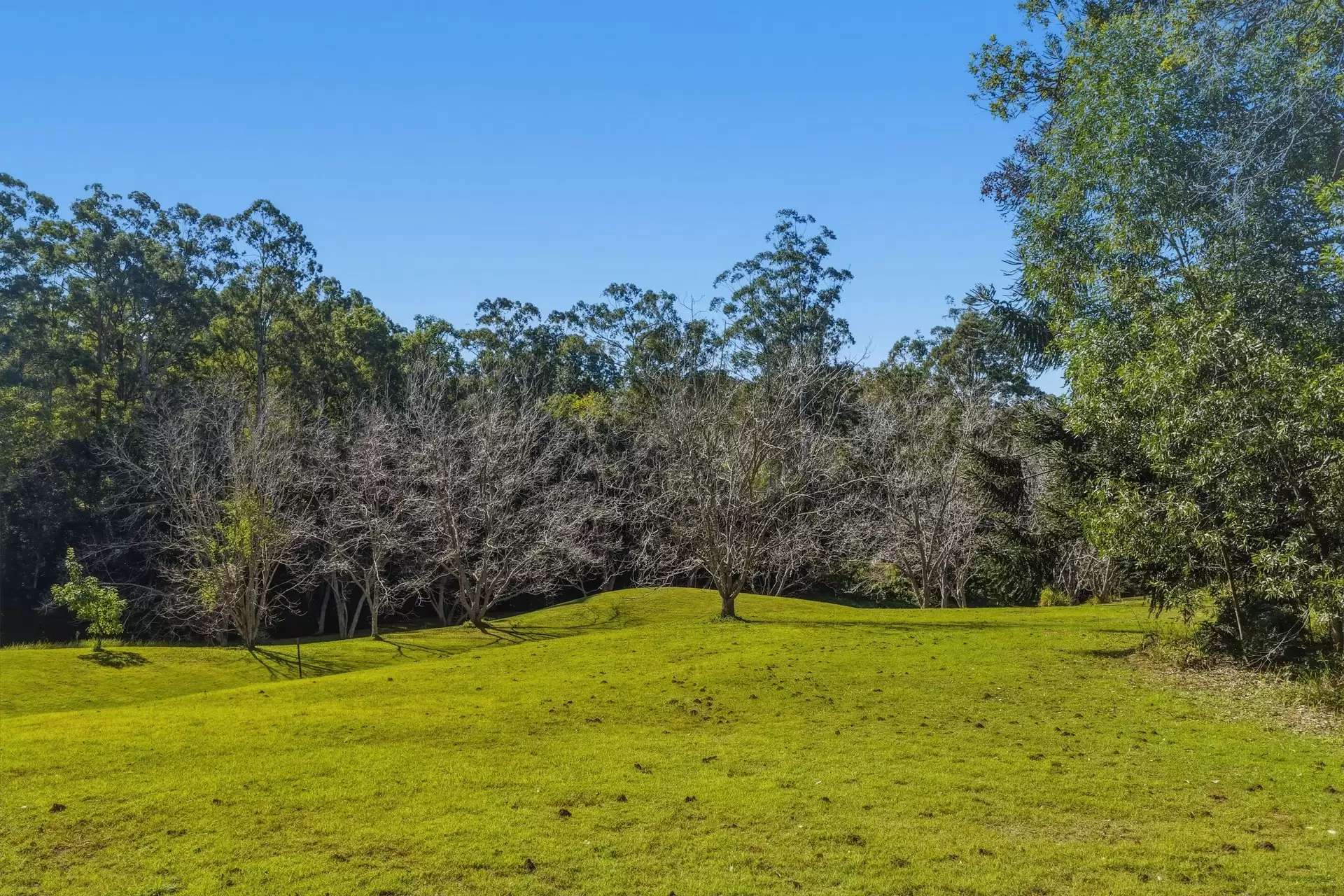 2-26 Shay Place, Witheren For Sale by  - image 1