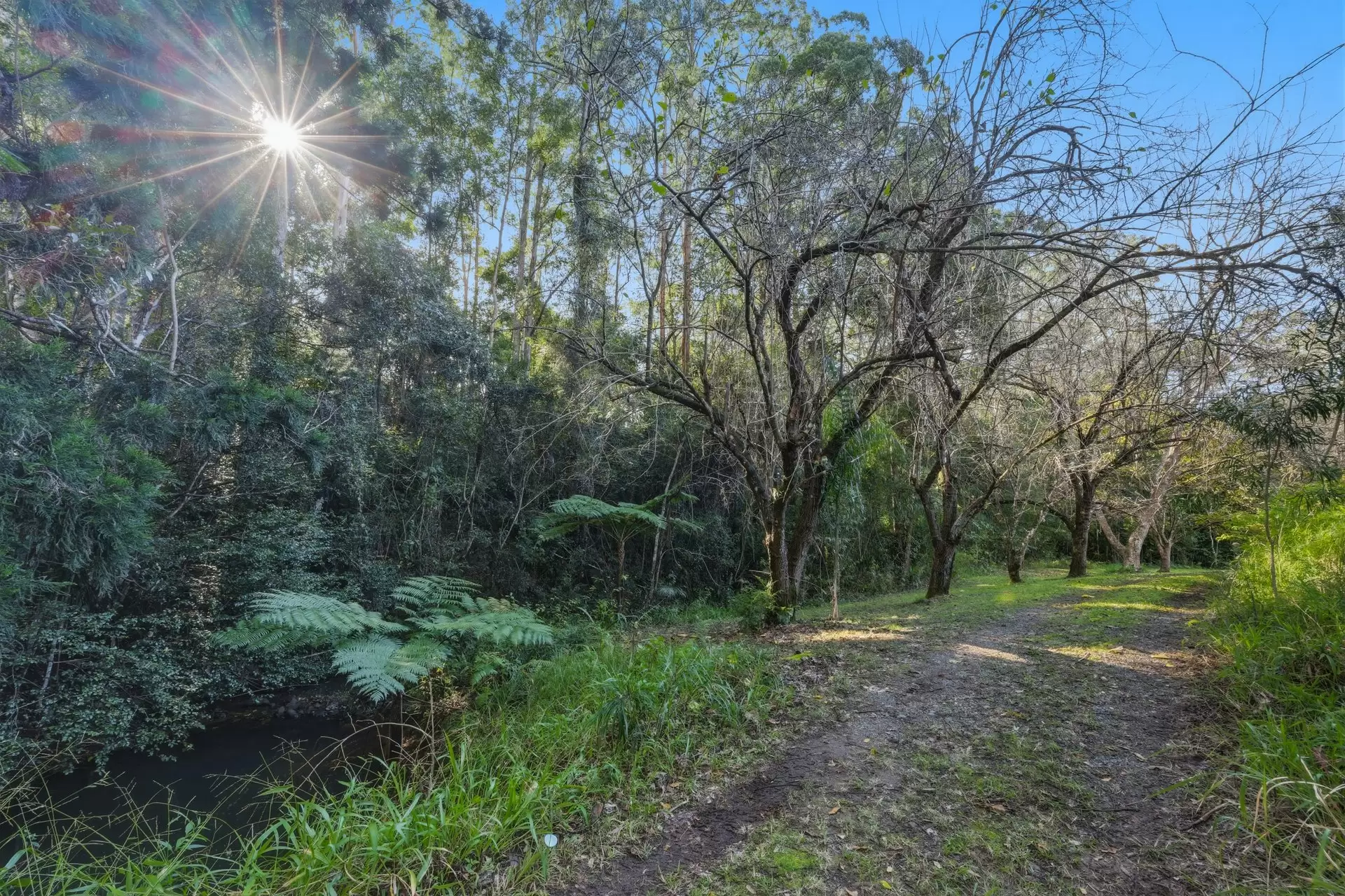 2-26 Shay Place, Witheren For Sale by  - image 1