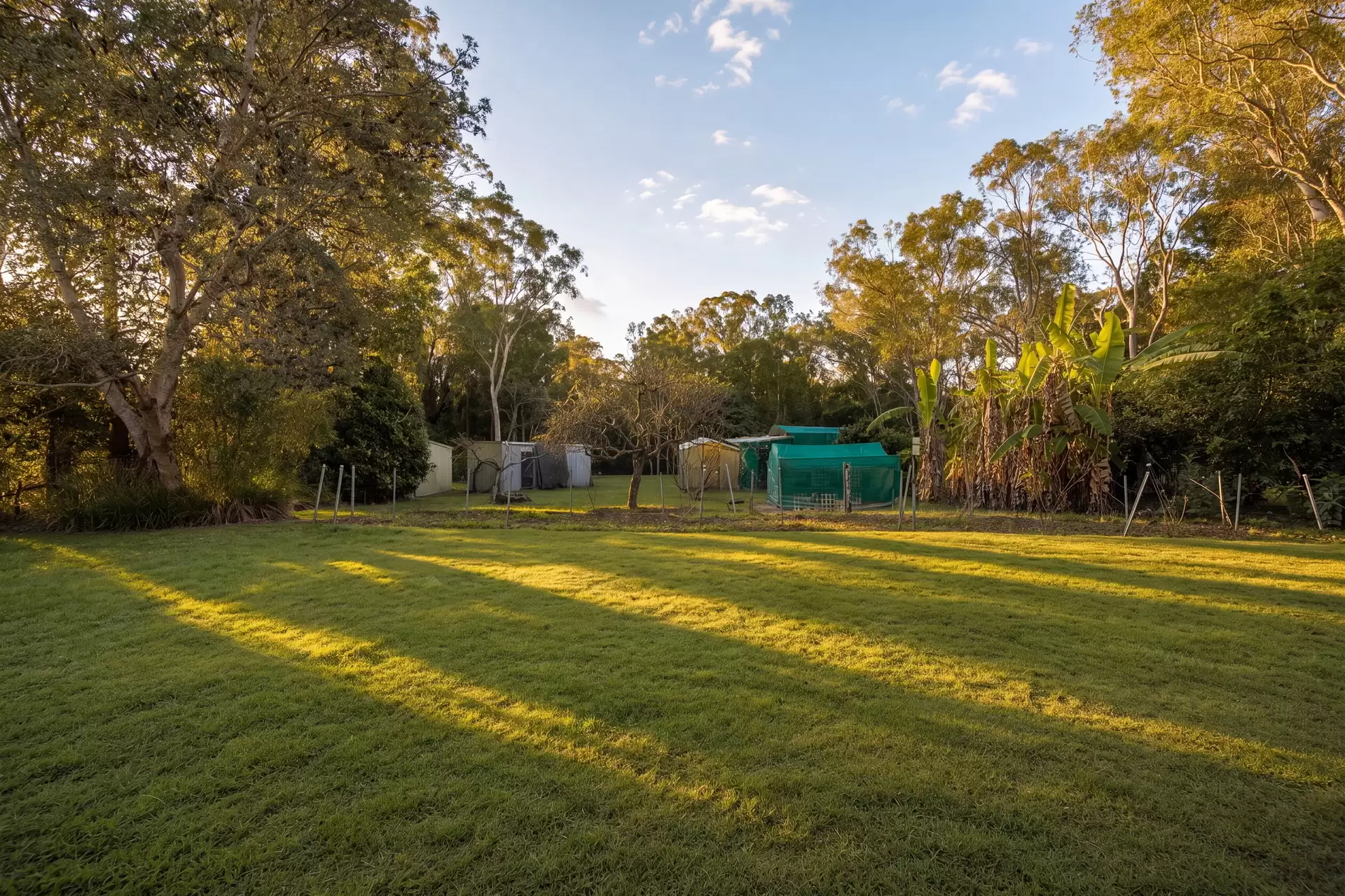 84 Oakridge  Street, Burbank For Sale by Queensland Sotheby's International Realty - image 1