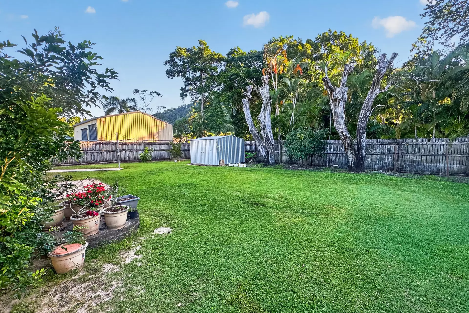28 Oleander Drive, Wonga Beach Sold by Queensland Sotheby's International Realty - image 1