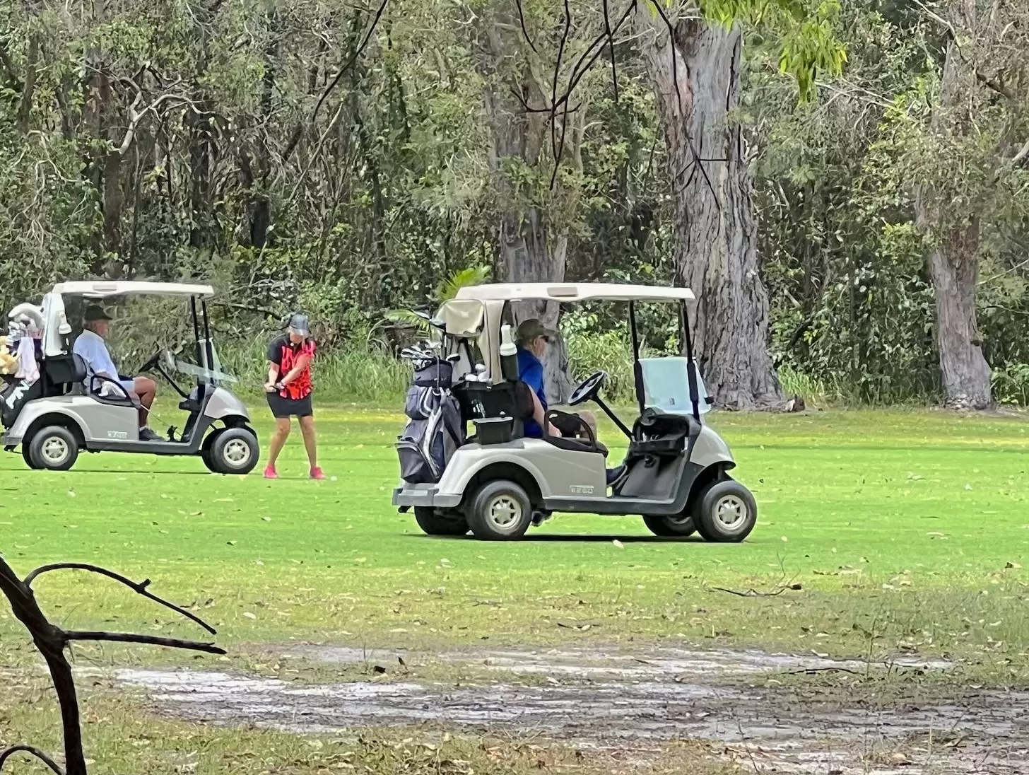 33 Golf Course  Drive, Tewantin Sold by Queensland Sotheby's International Realty - image 1