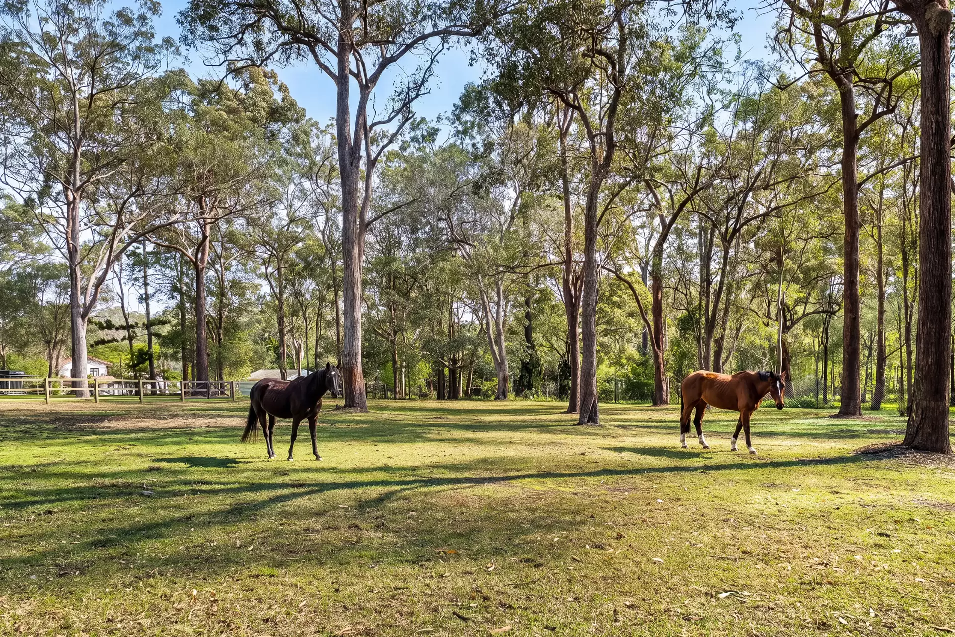 570 Boston Road, Chandler Sold by Queensland Sotheby's International Realty - image 1