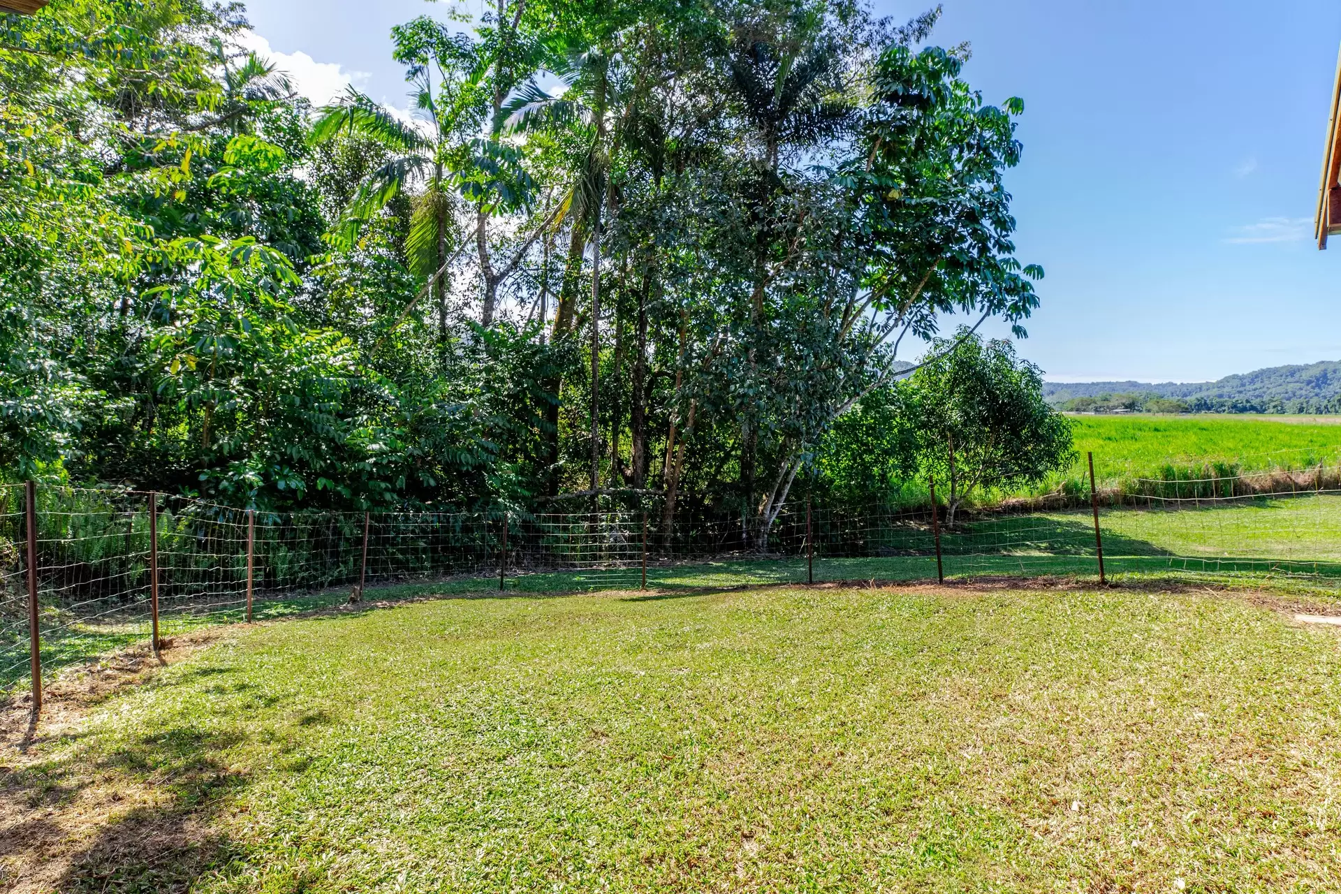 445 Miallo Bamboo Creek Road, Whyanbeel For Sale by Queensland Sotheby's International Realty - image 1