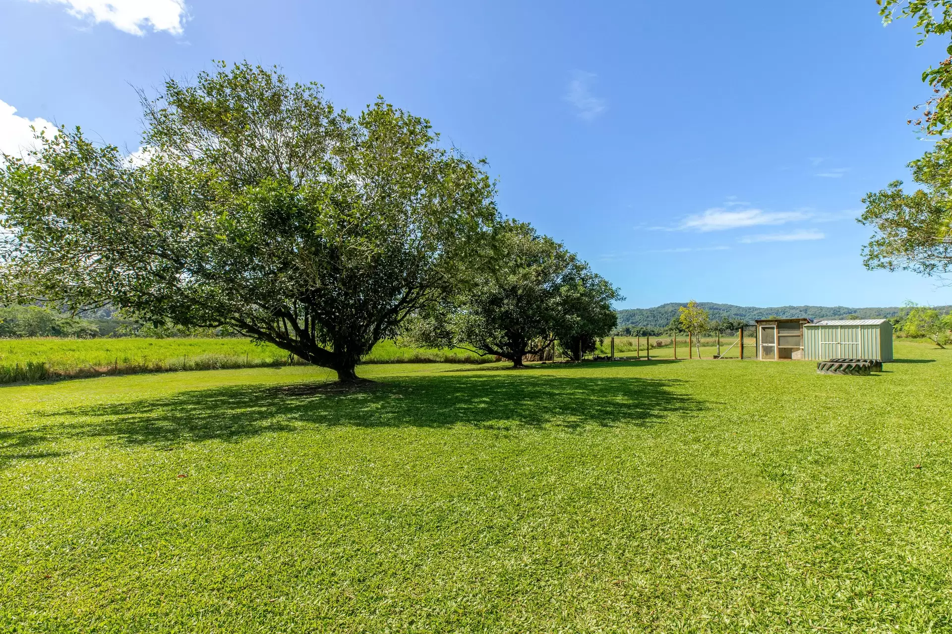 445 Miallo Bamboo Creek Road, Whyanbeel For Sale by Queensland Sotheby's International Realty - image 1
