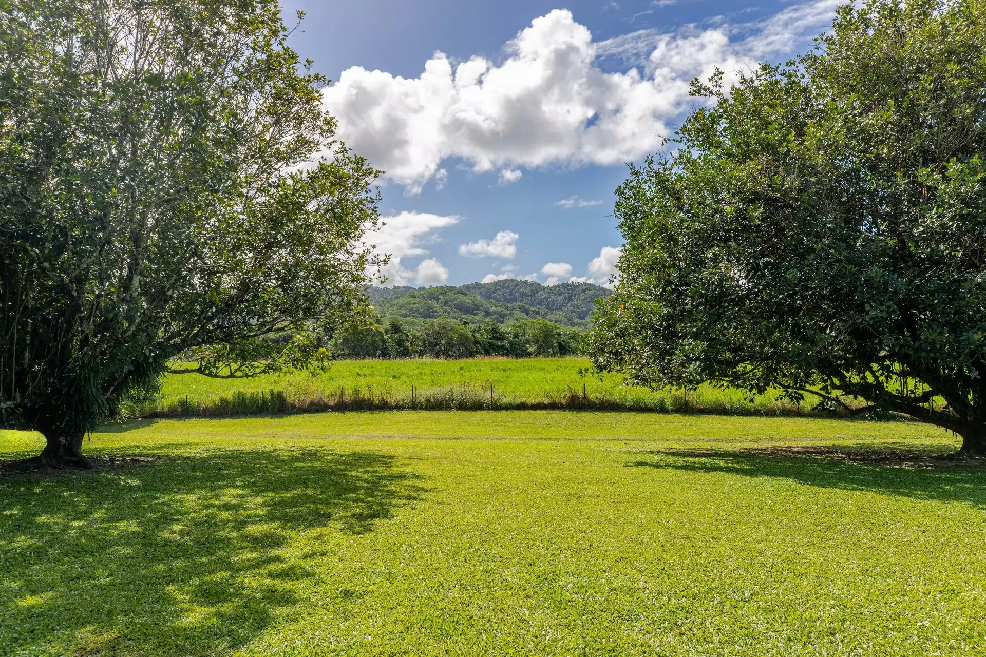 445 Miallo Bamboo Creek Road, Whyanbeel For Sale by Queensland Sotheby's International Realty - image 1