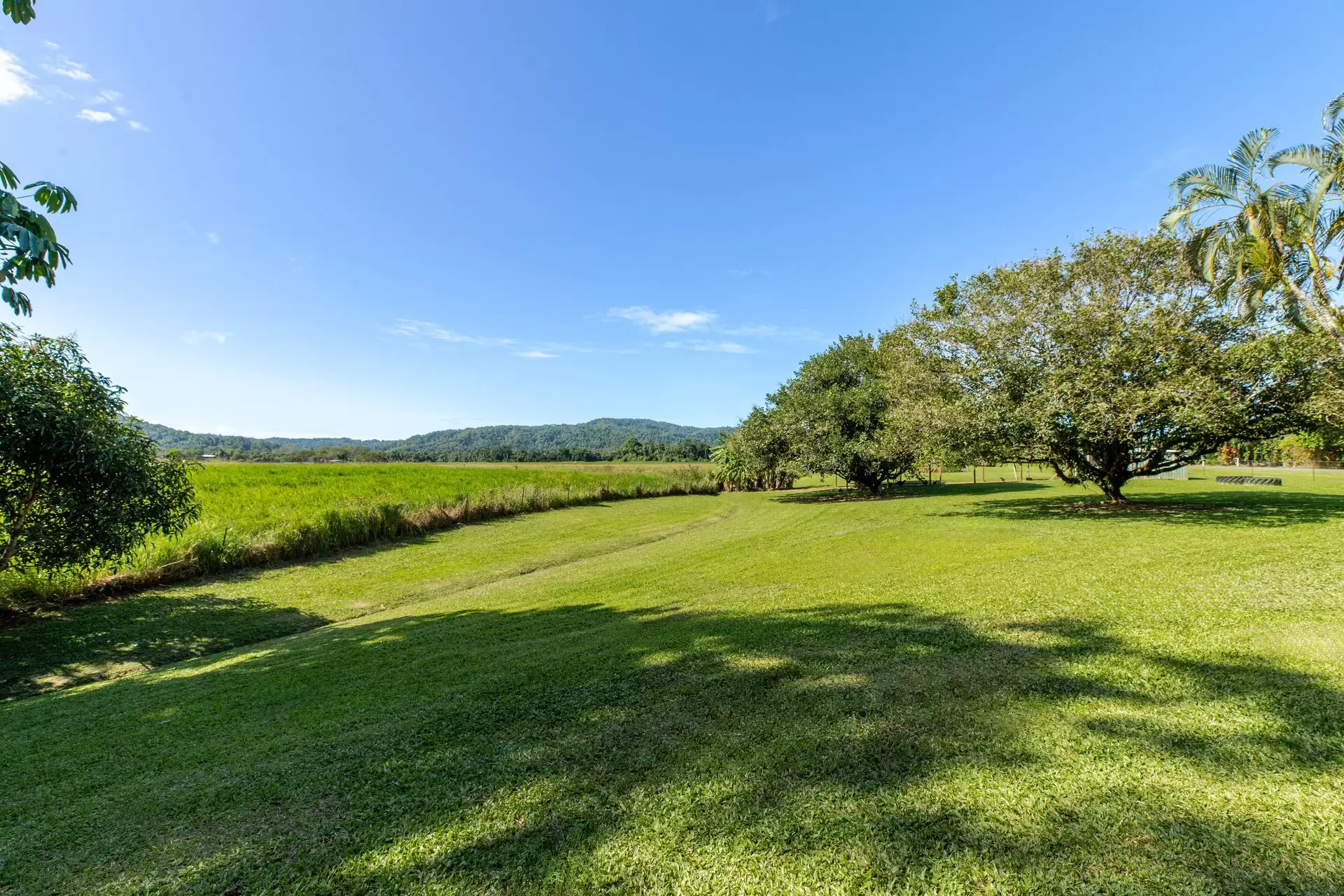 445 Miallo Bamboo Creek Road, Whyanbeel For Sale by Queensland Sotheby's International Realty - image 1