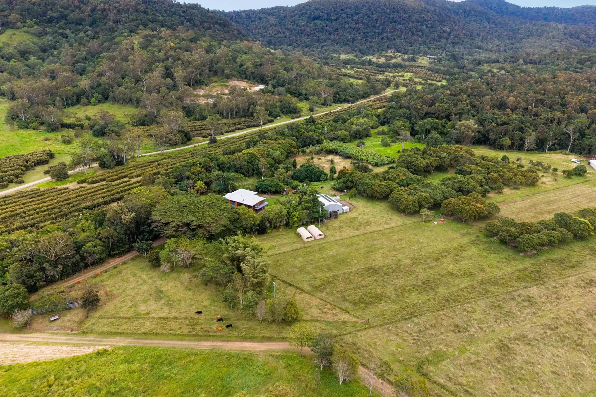 580 Saltwater Creek Road, Palm Grove For Sale by Queensland Sotheby's International Realty - image 1
