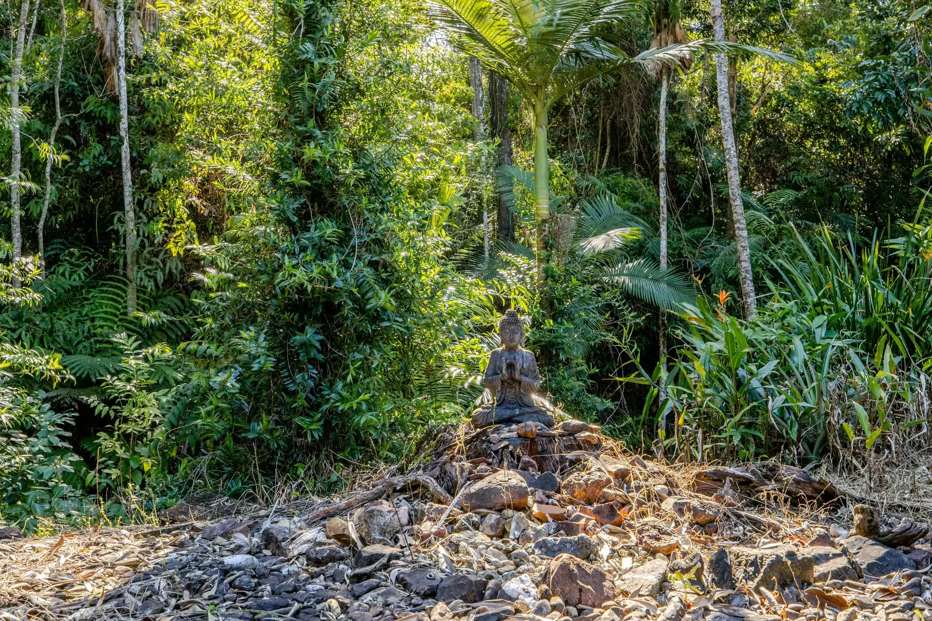 1509 Cape Tribulation Road, Cow Bay For Sale by Queensland Sotheby's International Realty - image 1