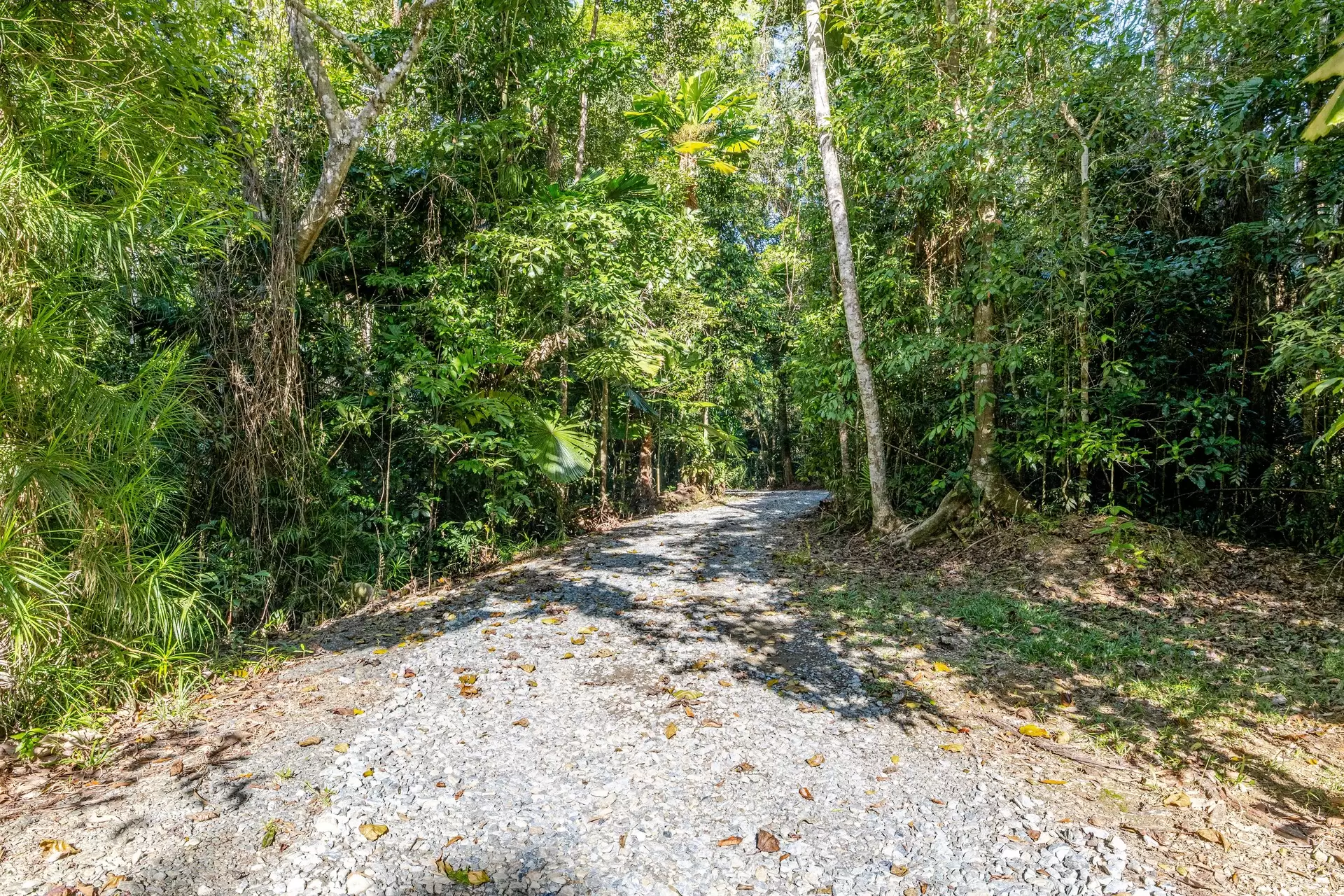 1509 Cape Tribulation Road, Cow Bay For Sale by Queensland Sotheby's International Realty - image 1