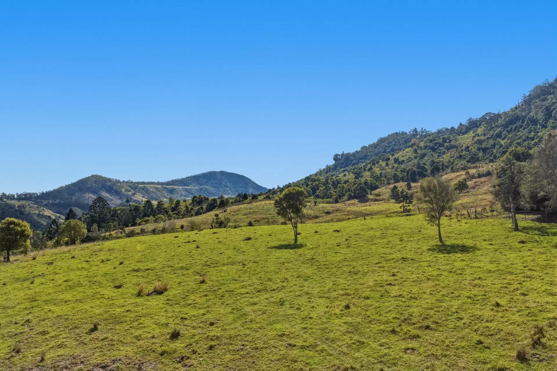 601  Illinbah  Road, Illinbah For Sale by Queensland Sotheby's International Realty - image 1