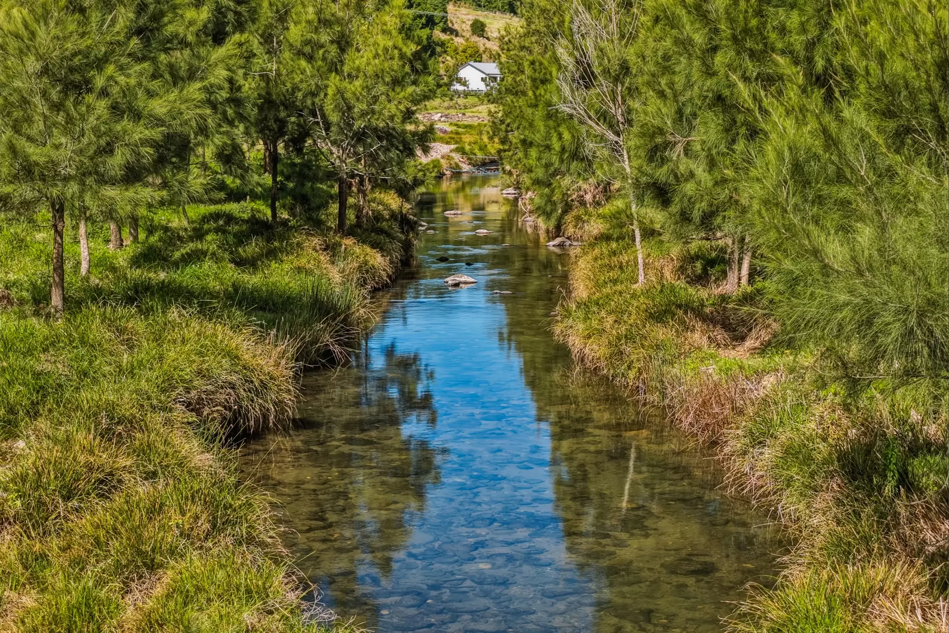 601  Illinbah  Road, Illinbah For Sale by Queensland Sotheby's International Realty - image 1
