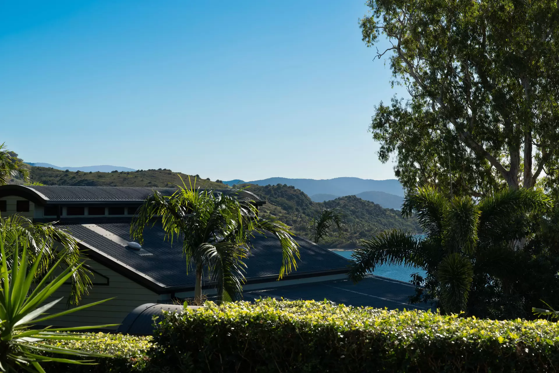 Pandanus E/4 Banksia Court, Hamilton Island Sold by  - image 1