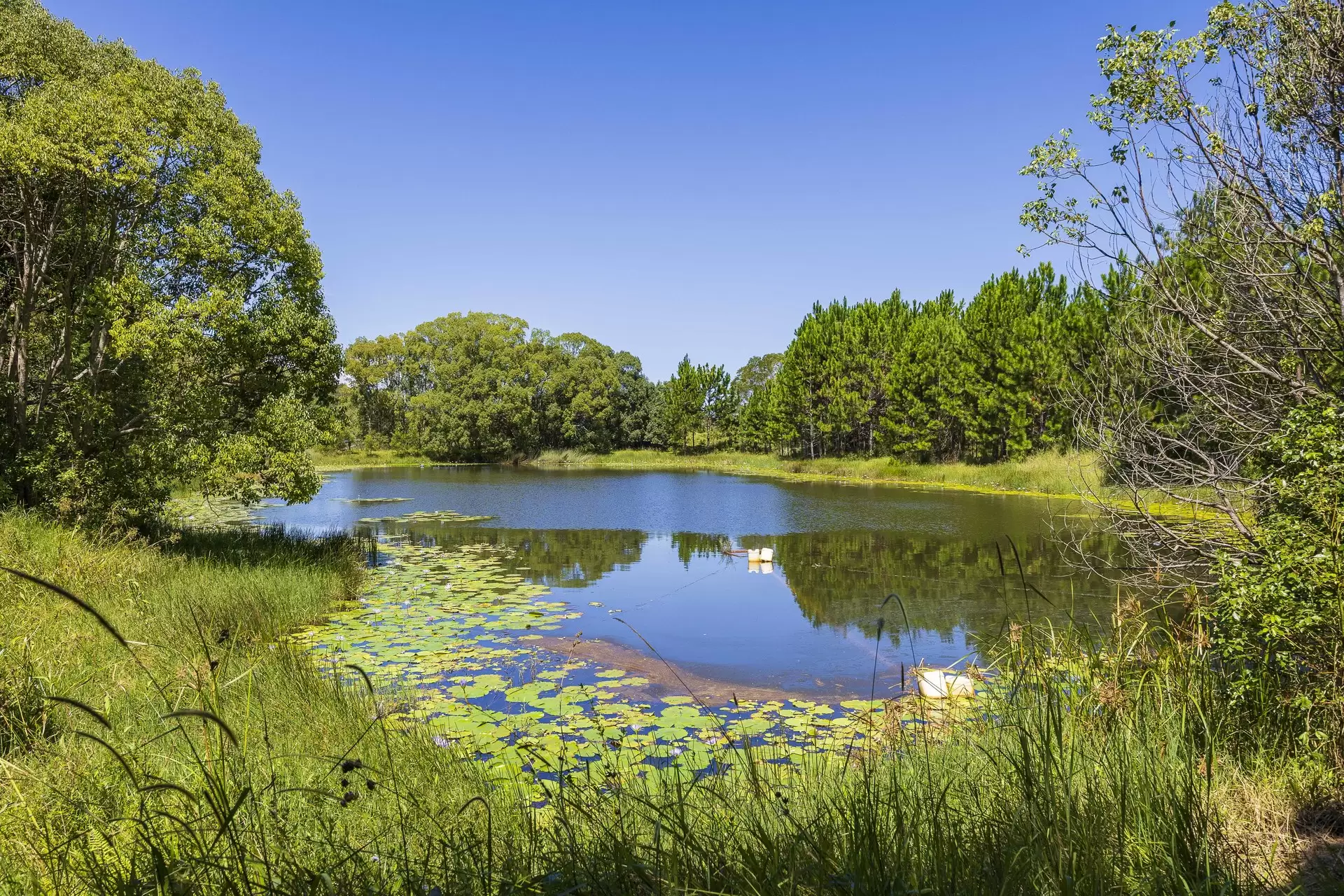 69 Andersons Road, Duranbah For Sale by Queensland Sotheby's International Realty - image 1