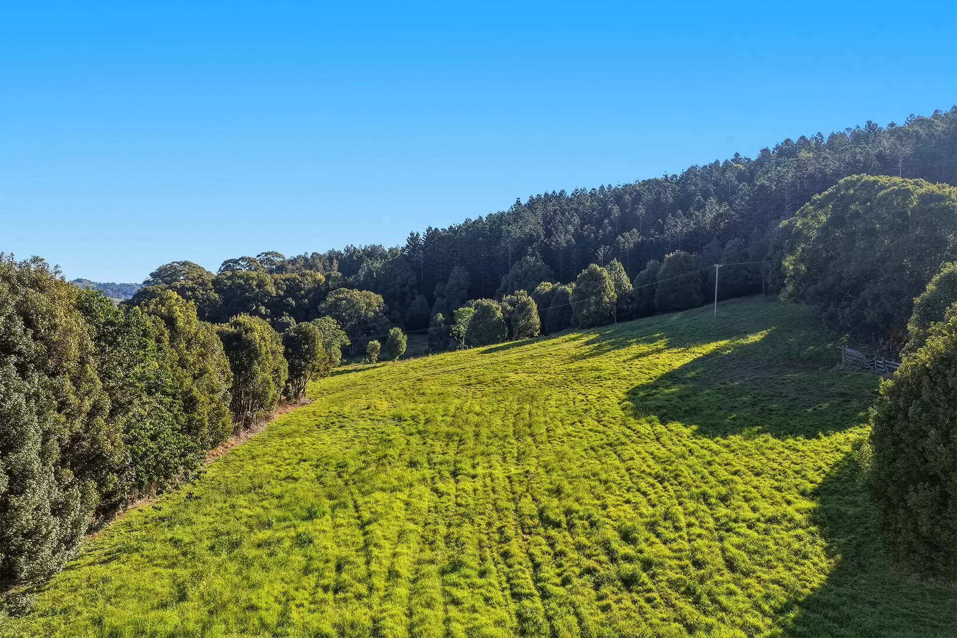 69 Andersons Road, Duranbah For Sale by Queensland Sotheby's International Realty - image 1