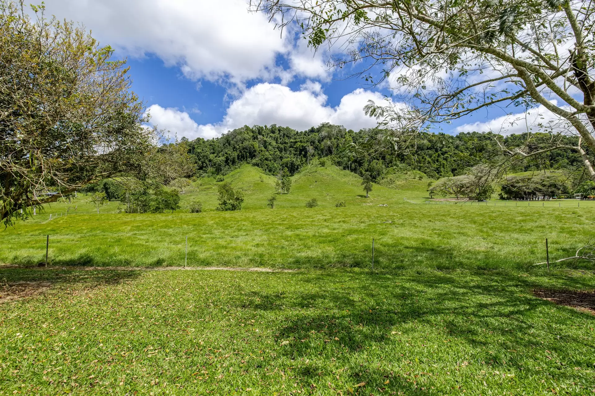 3391 Mossman Daintree Road, Daintree For Sale by  - image 1