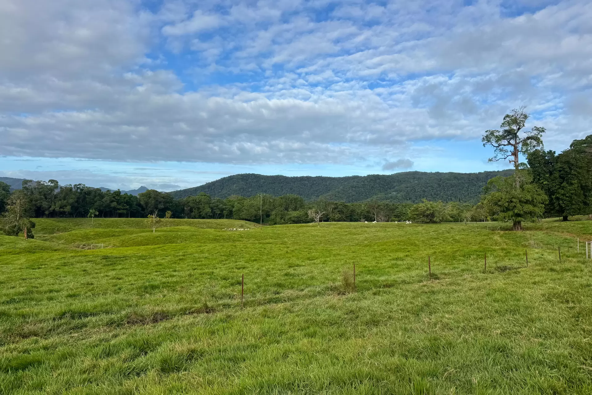 3391 Mossman Daintree Road, Daintree For Sale by  - image 1