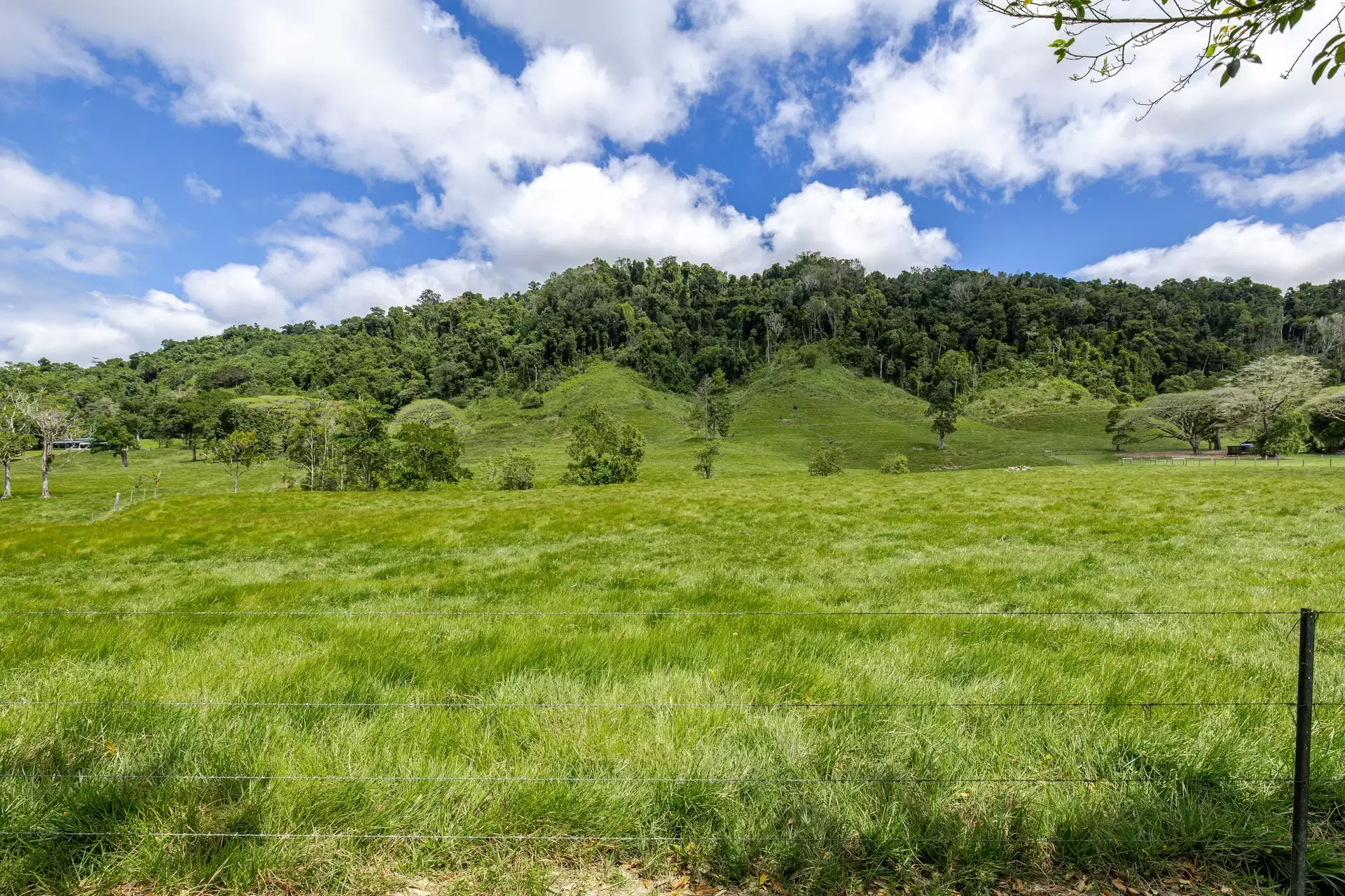 3391 Mossman Daintree Road, Daintree For Sale by  - image 1