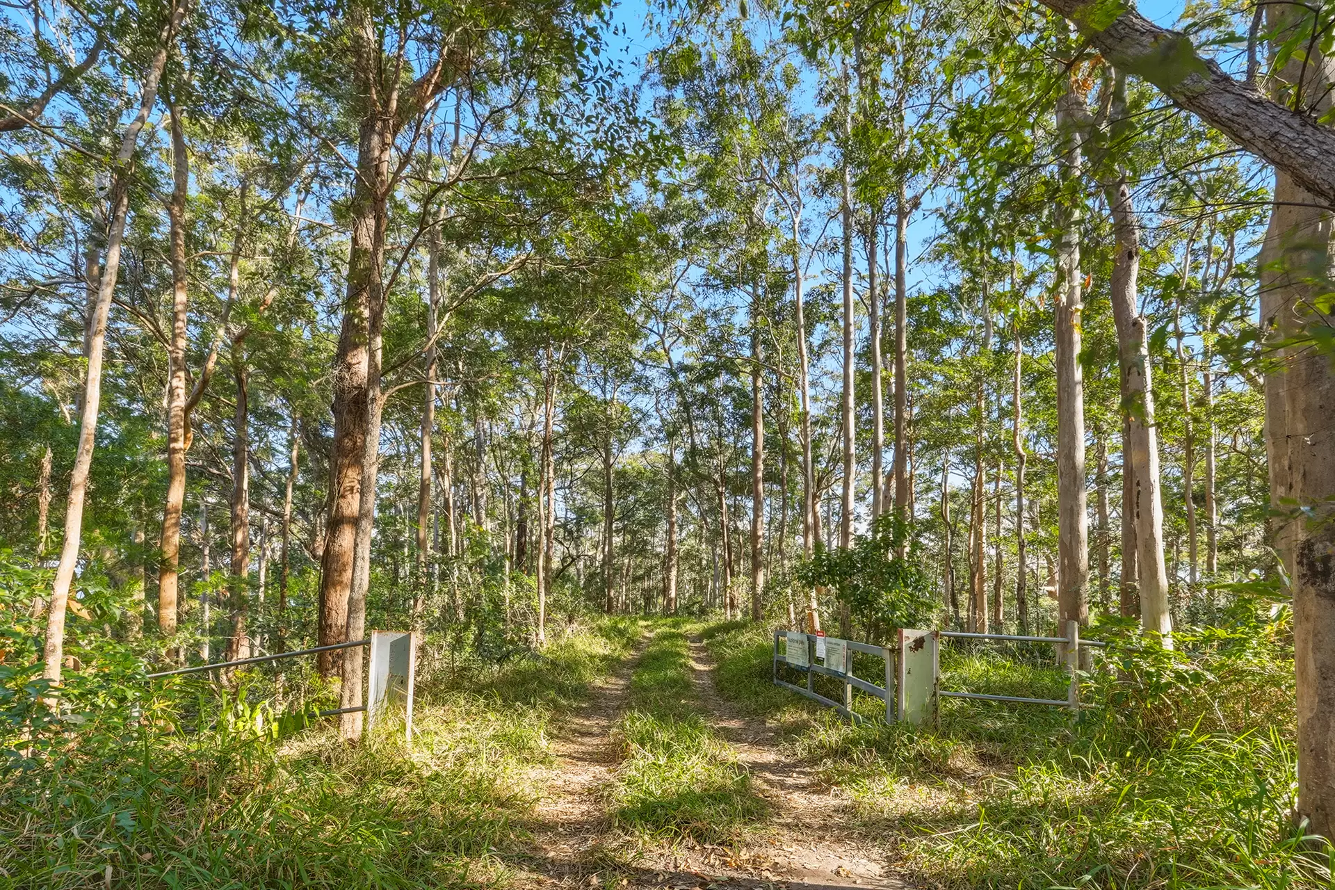 453 Mount Nimmel Road, Austinville For Sale by  - image 1